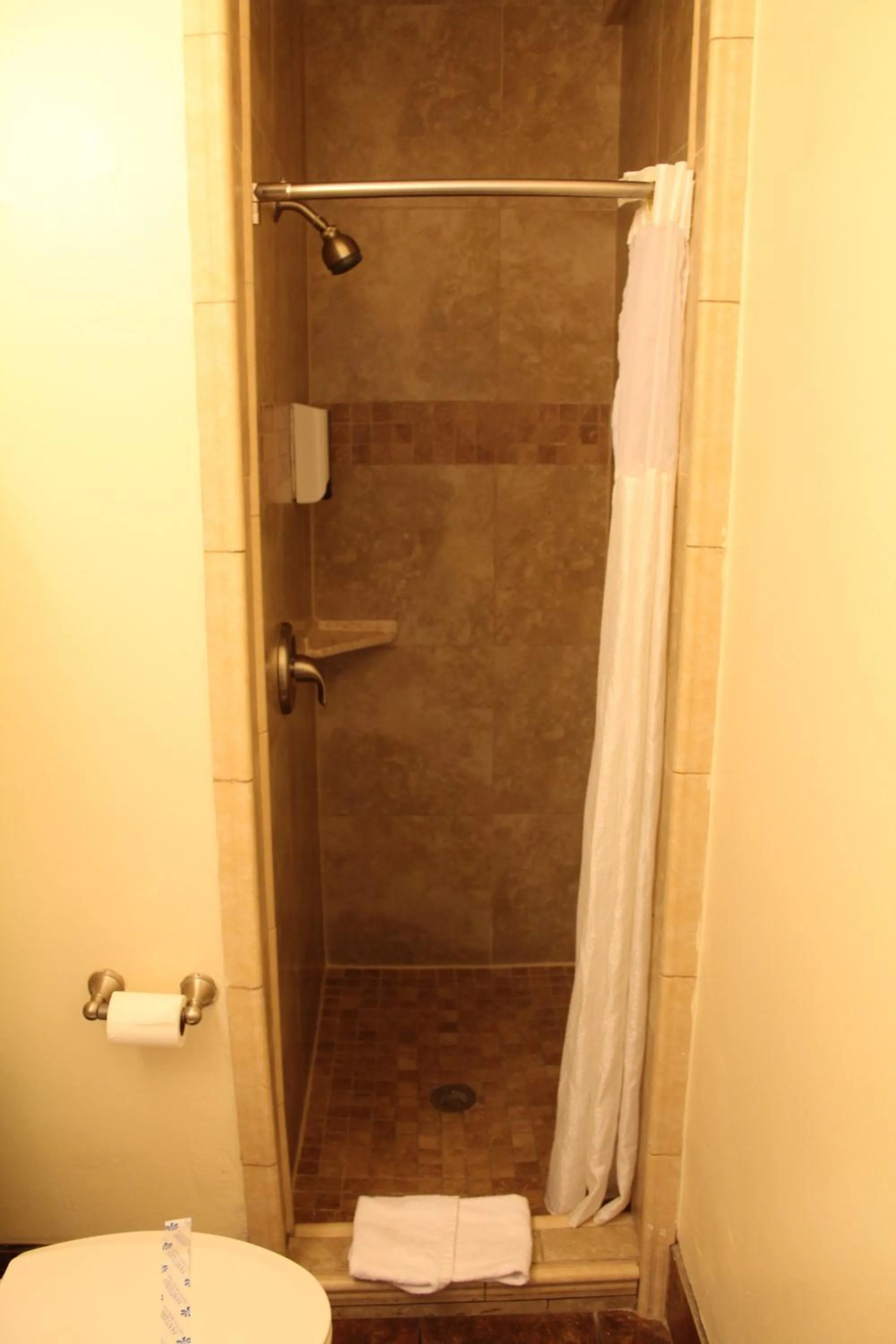 Shower in Riverside Inn & Suites Santa Cruz