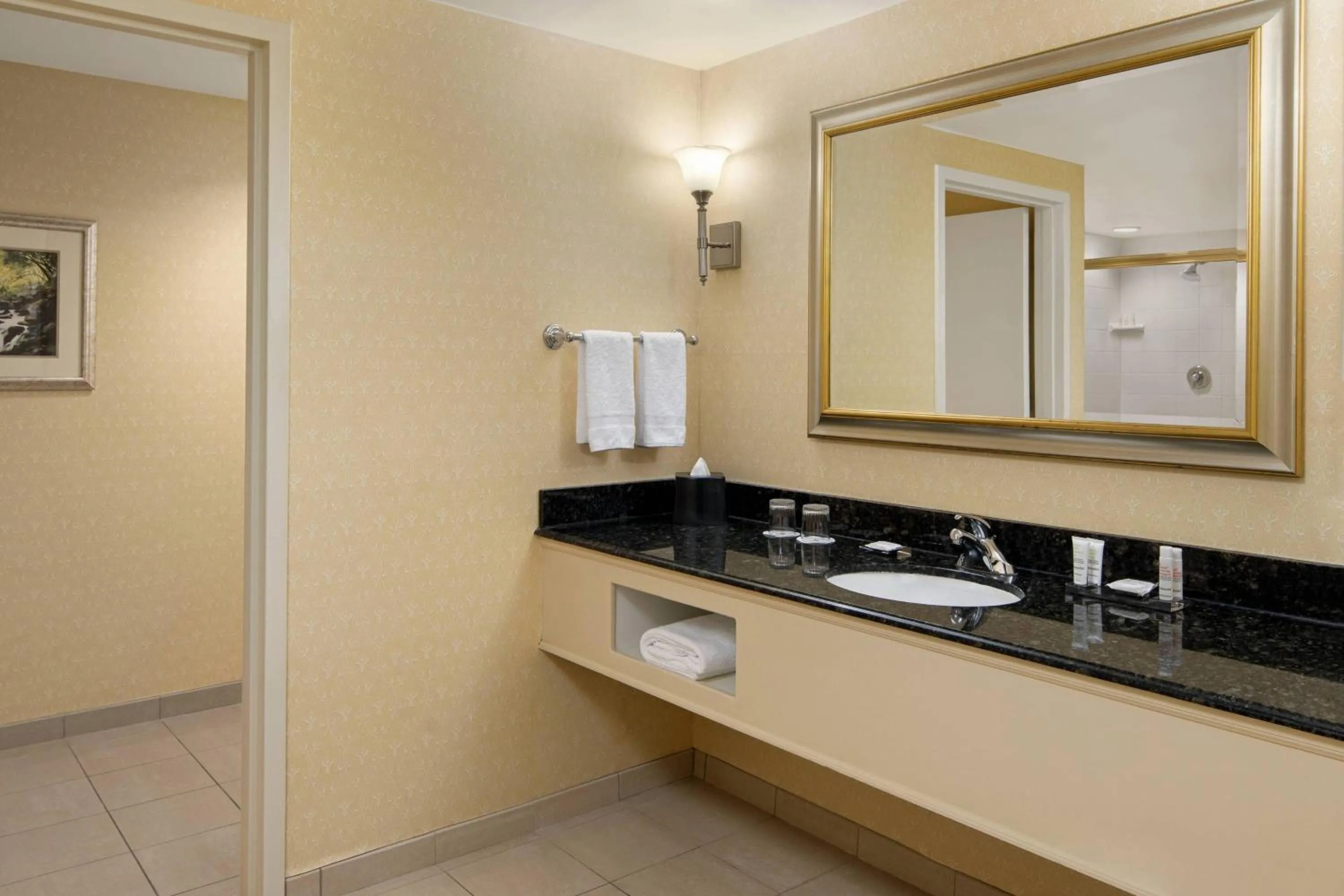 Bathroom in Spartanburg Marriott