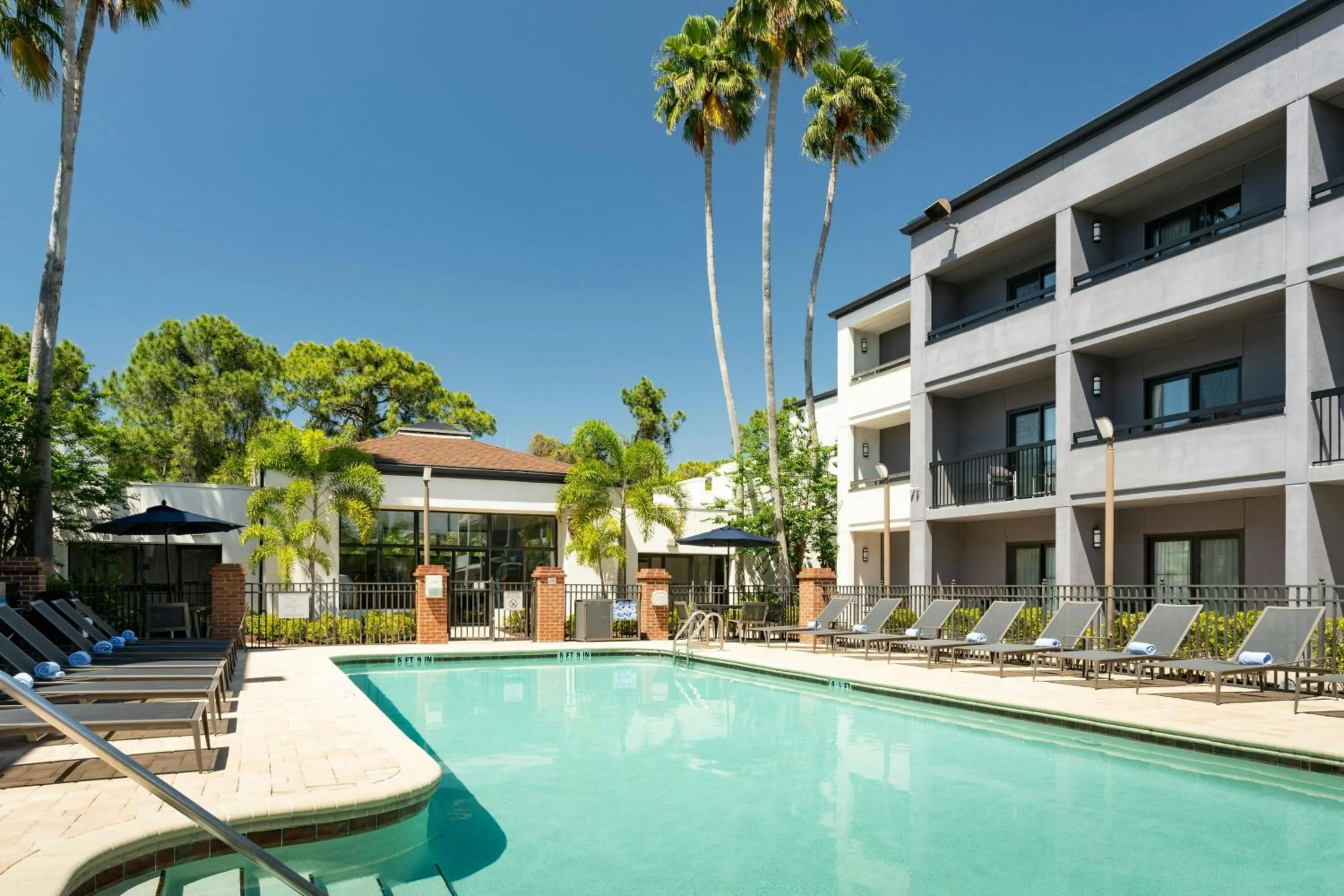 Swimming pool in Courtyard St. Petersburg Clearwater