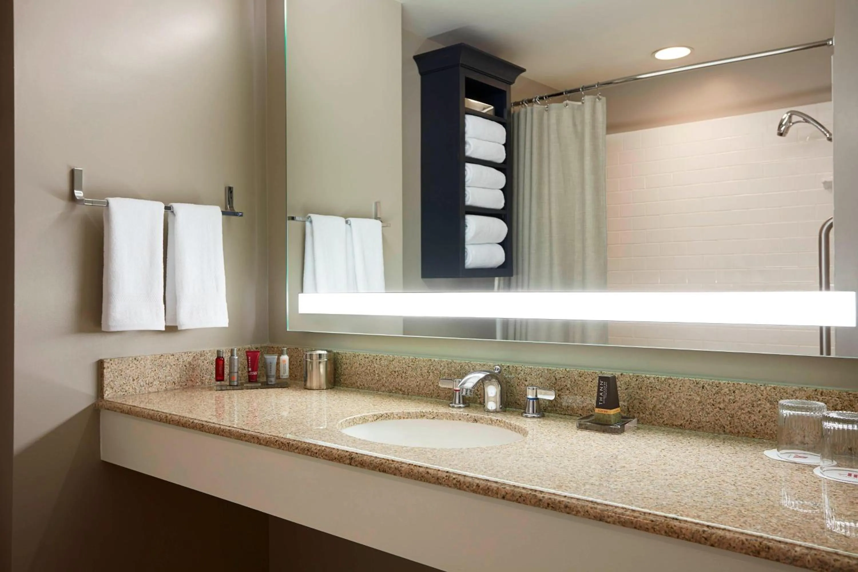 Bathroom in College Park Marriott Hotel & Conference Center