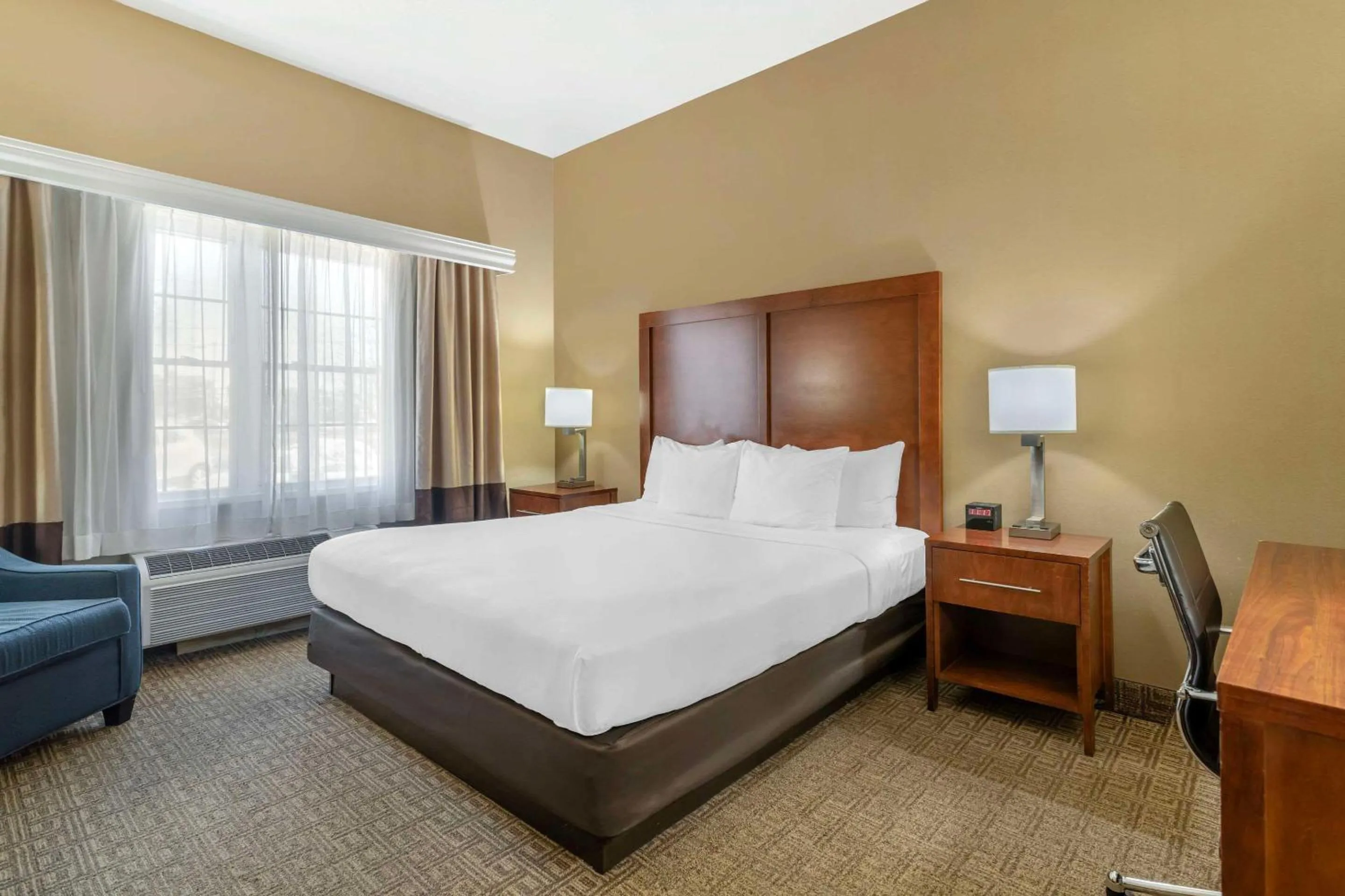 Bedroom, Bed in Comfort Inn & Suites Dover-Portsmouth