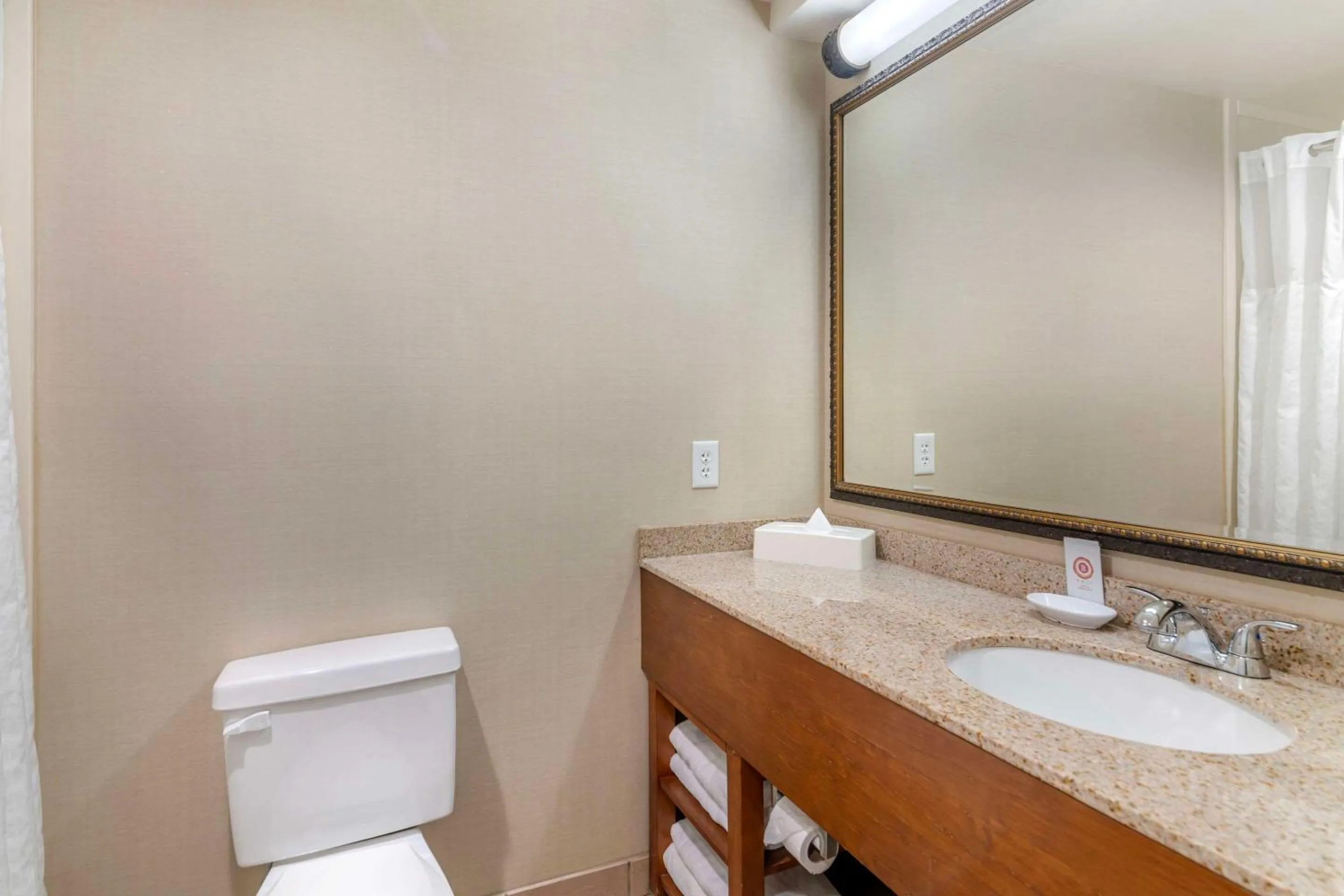 Bedroom in Comfort Inn & Suites Dover-Portsmouth