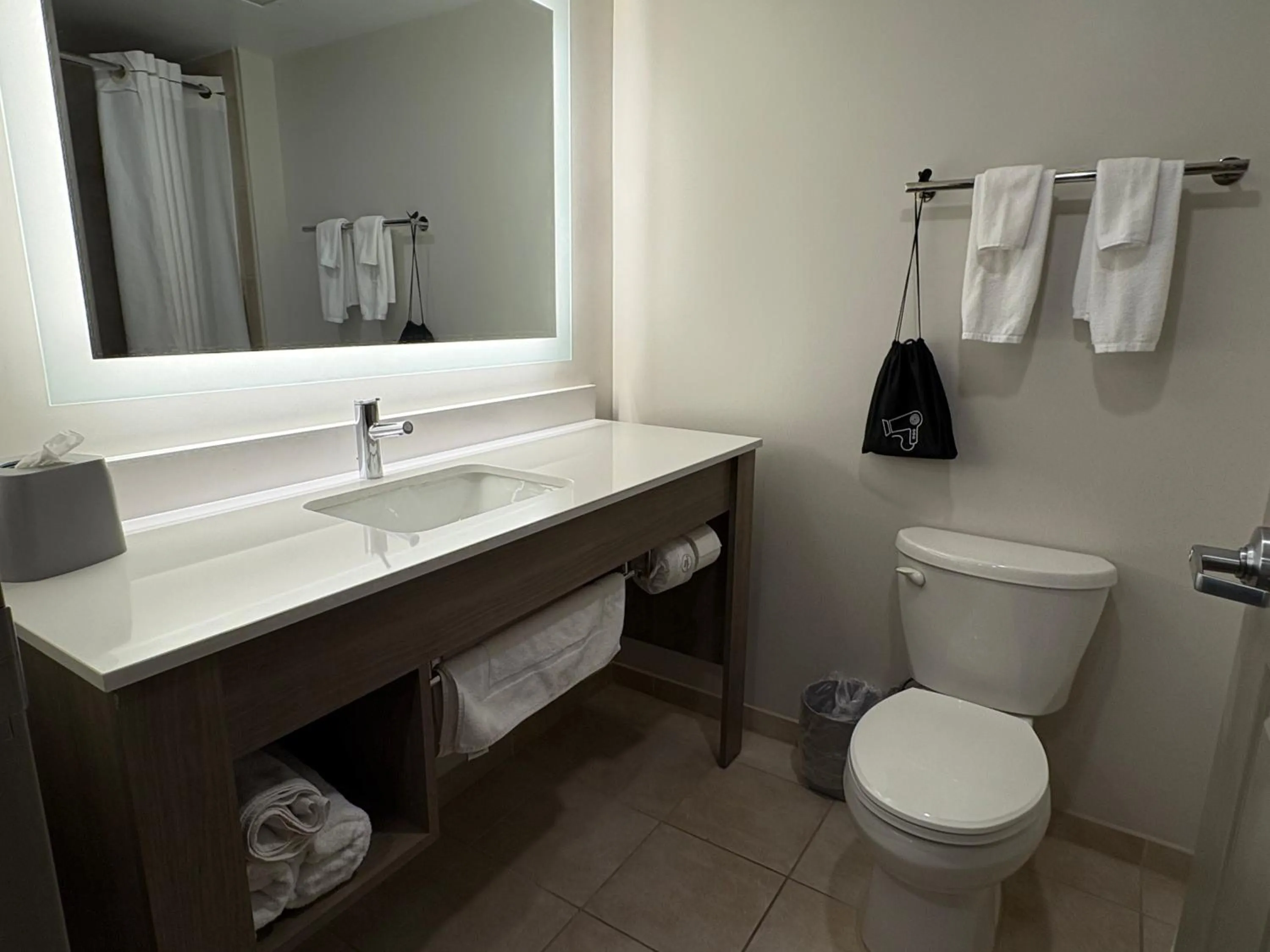 Bathroom in Wingate by Wyndham State Arena Raleigh/Cary Hotel