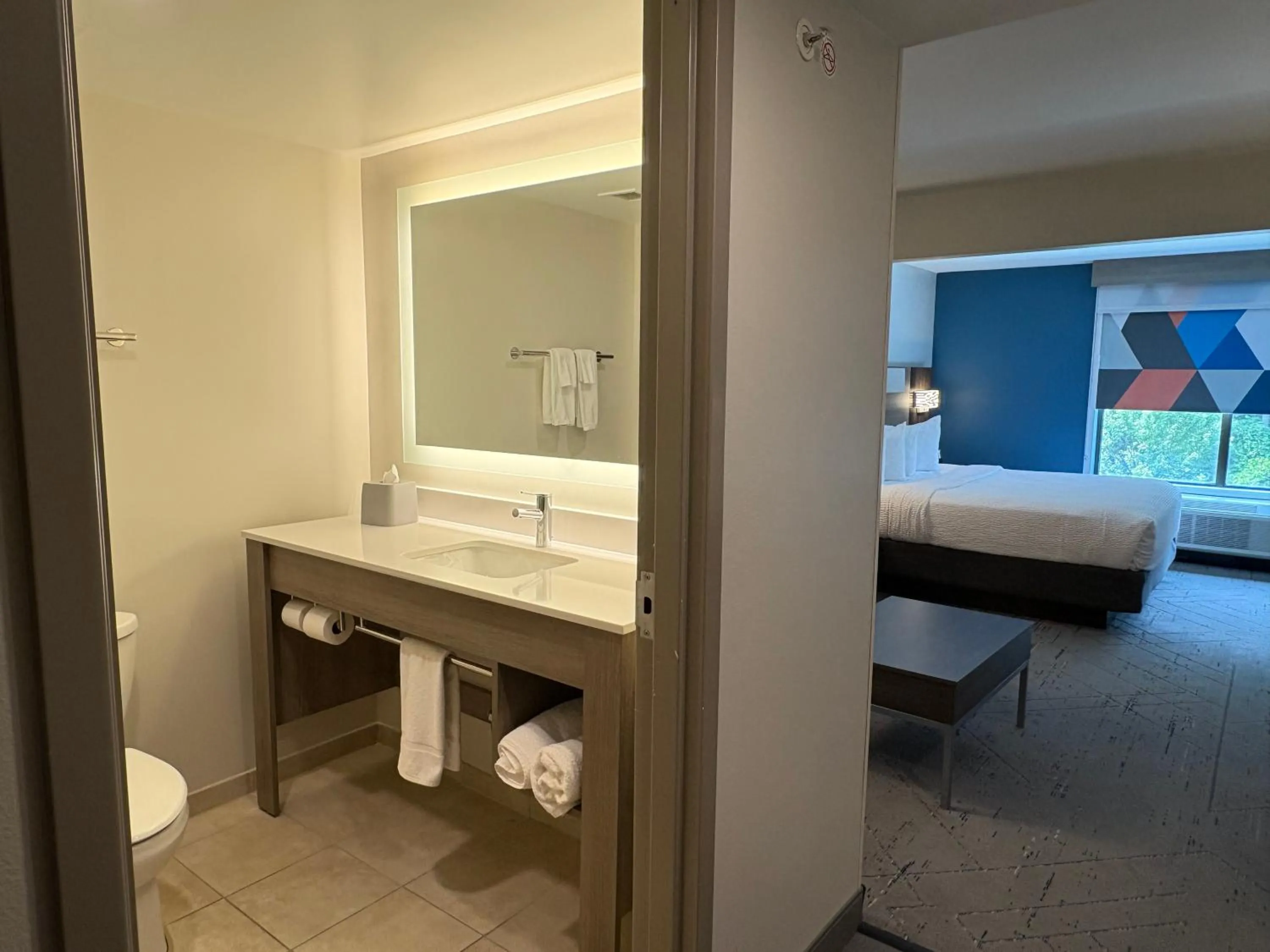 Bathroom, Bed in Wingate by Wyndham State Arena Raleigh/Cary Hotel