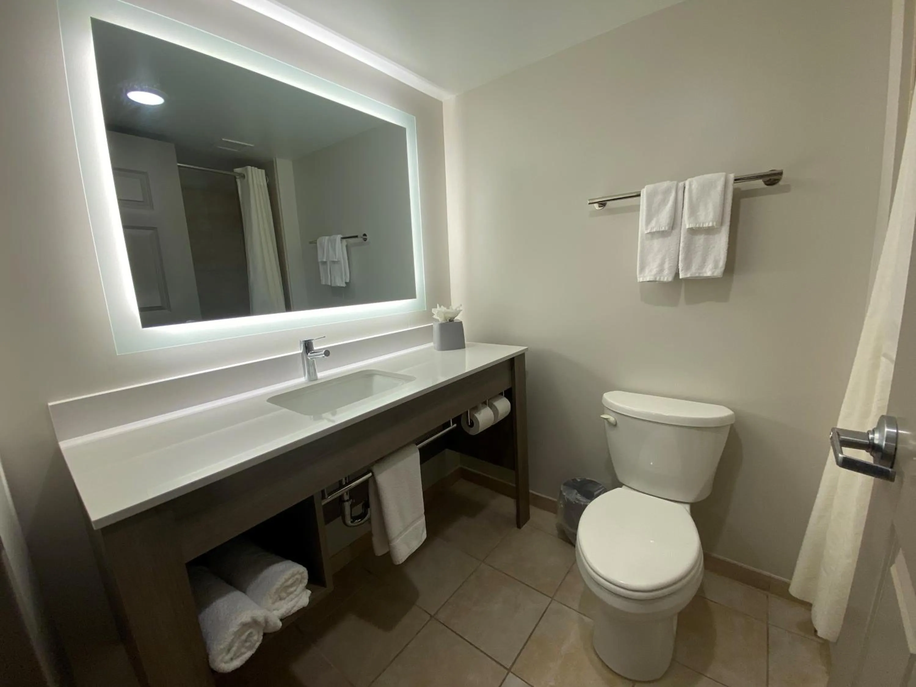 Toilet in Wingate by Wyndham State Arena Raleigh/Cary Hotel