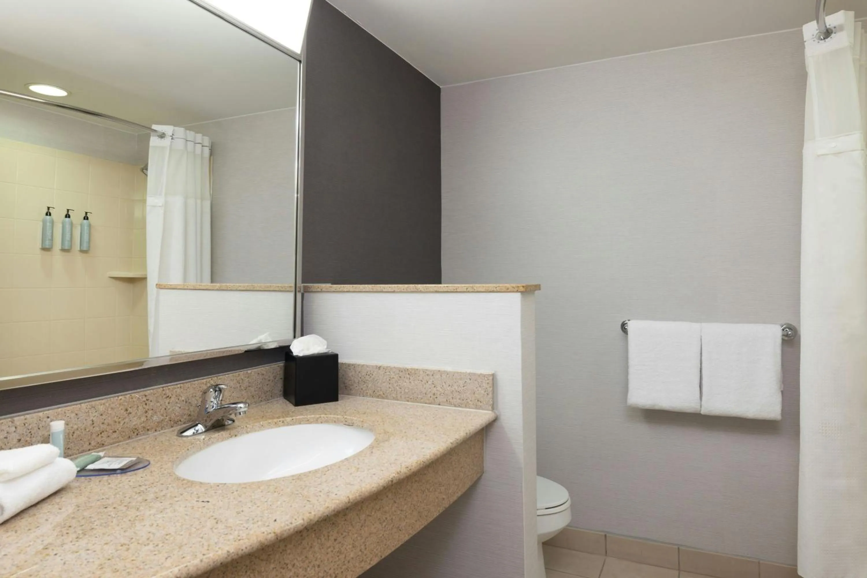 Bathroom in Courtyard Boston-South Boston