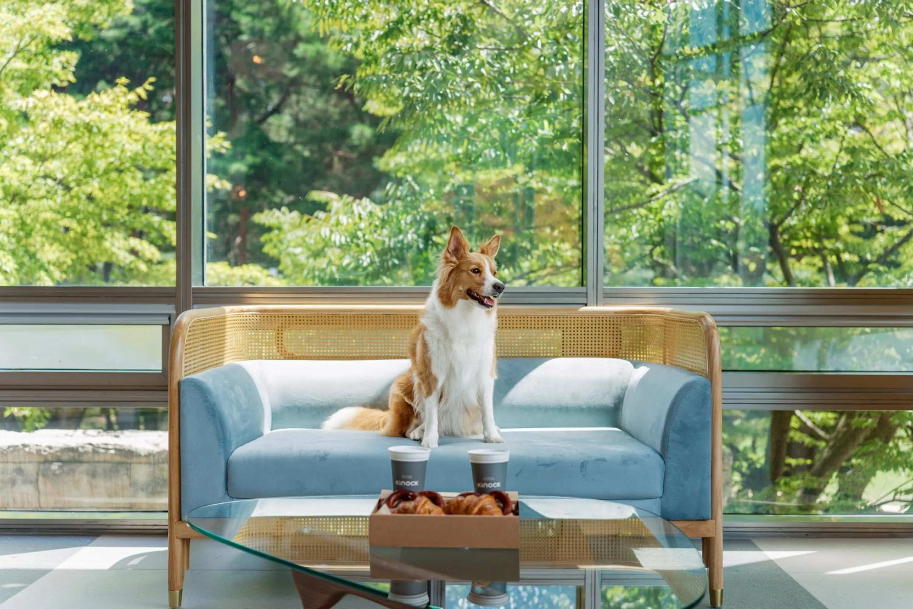 Restaurant/places to eat in Kinock