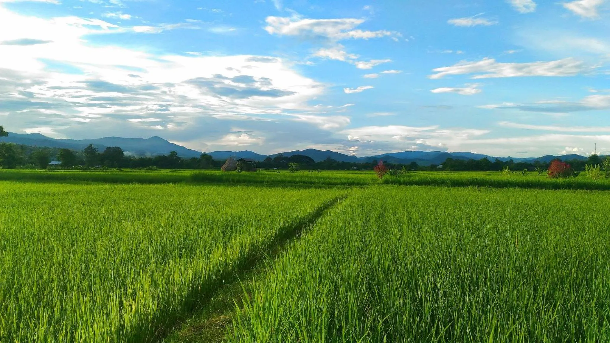 View (from property/room) in Pho Rak Nah Pai