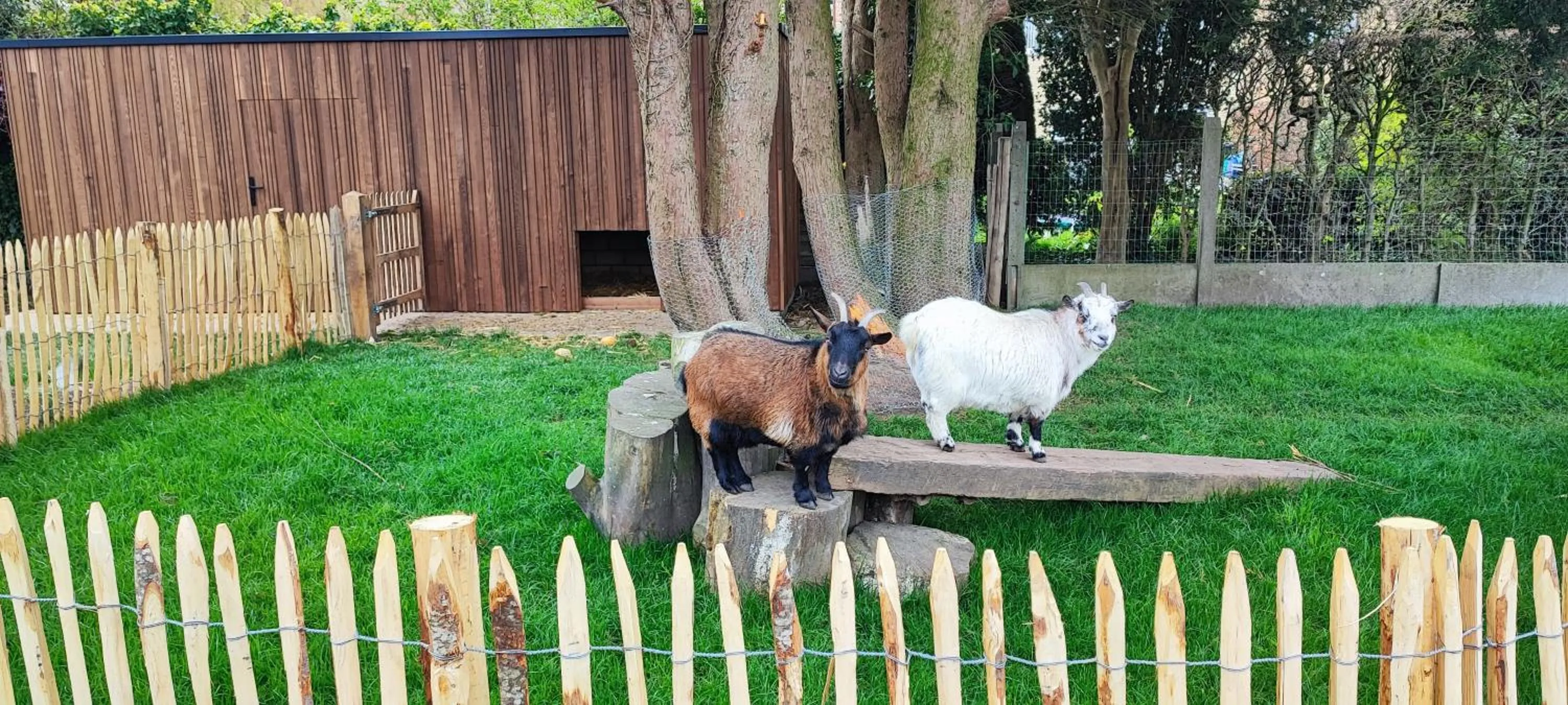 Day in B&B Charles Cabour