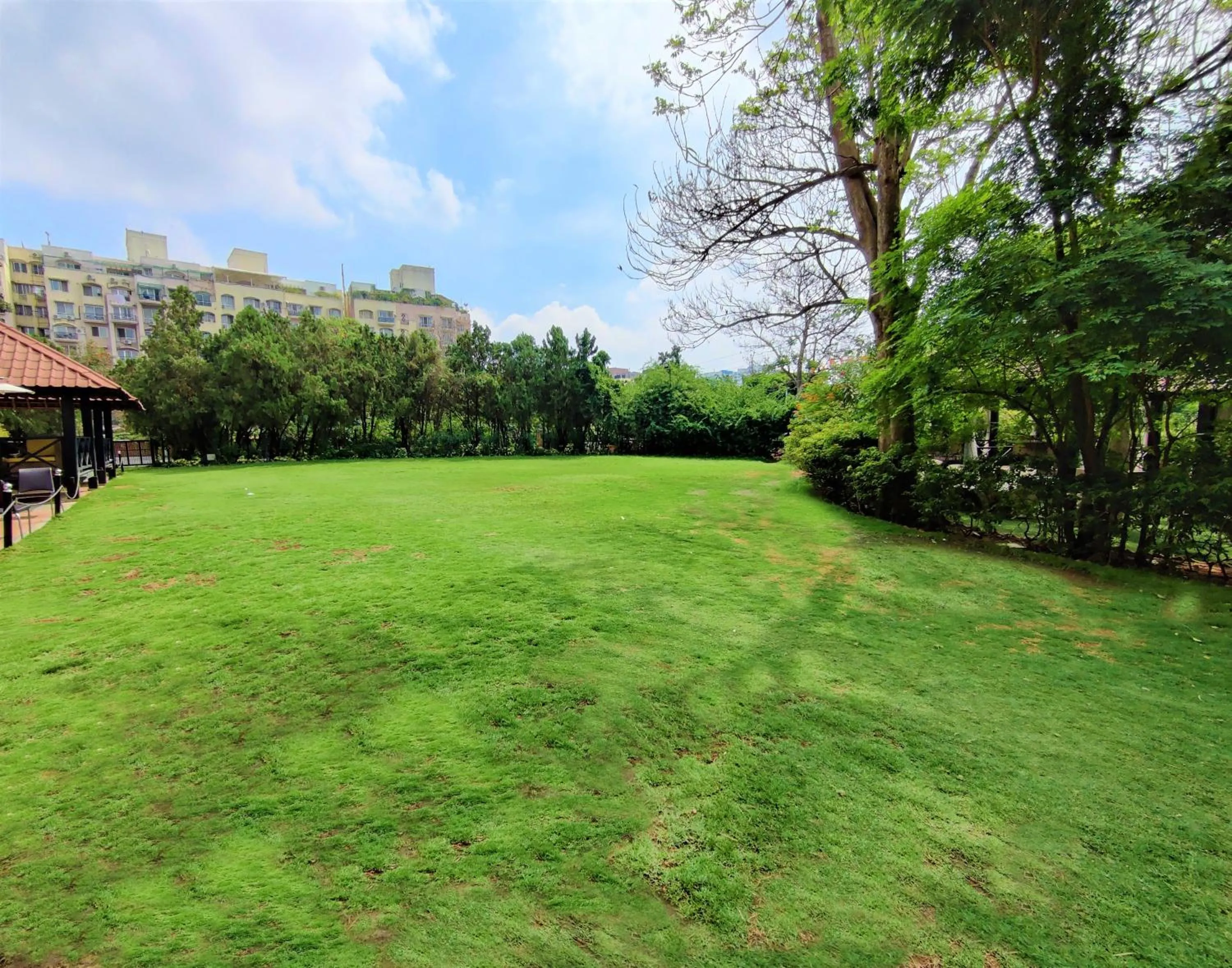 Garden in Hotel Royal Orchid Bangalore