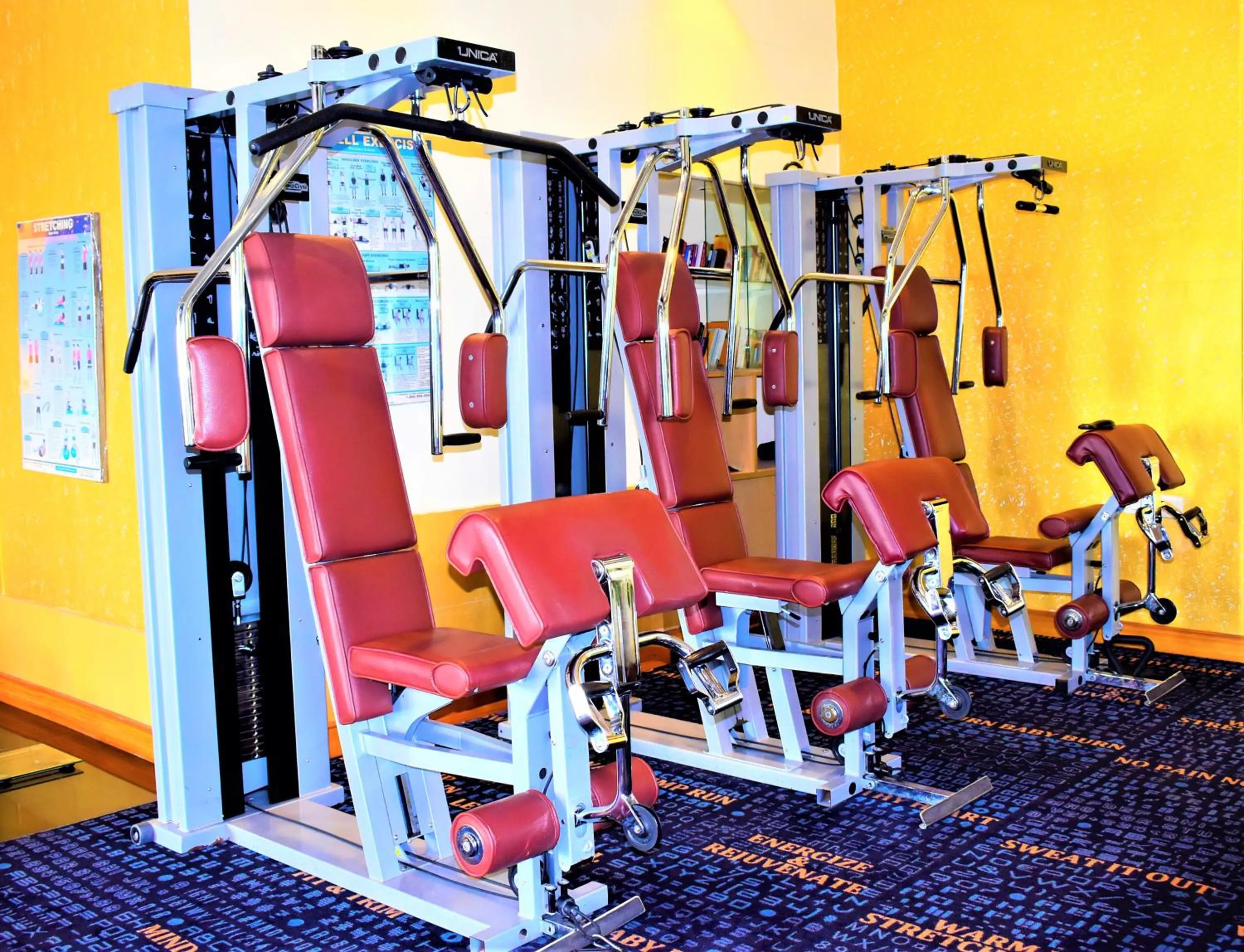Fitness centre/facilities in Hotel Royal Orchid Bangalore