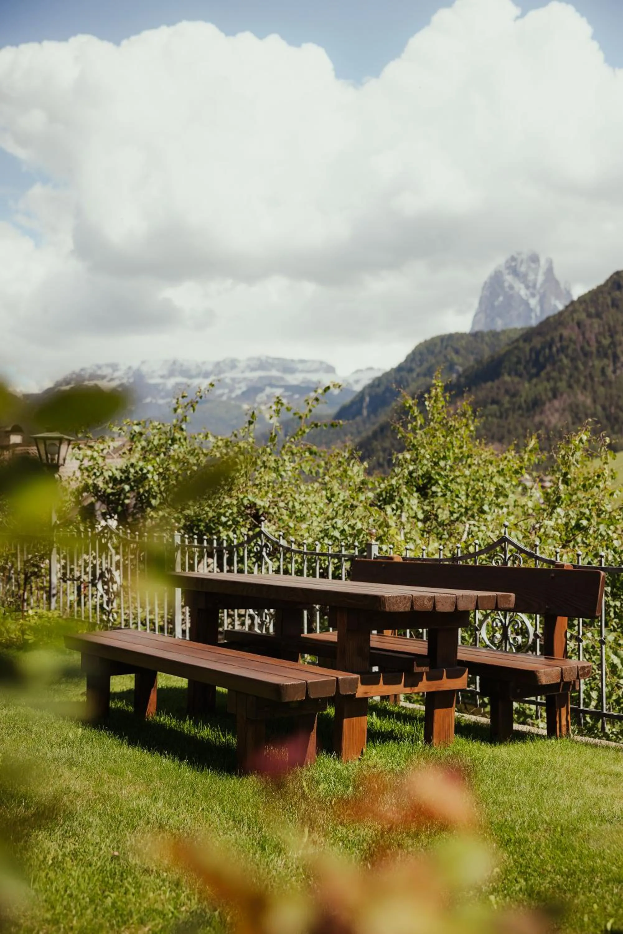 Garden in Hotel Grien