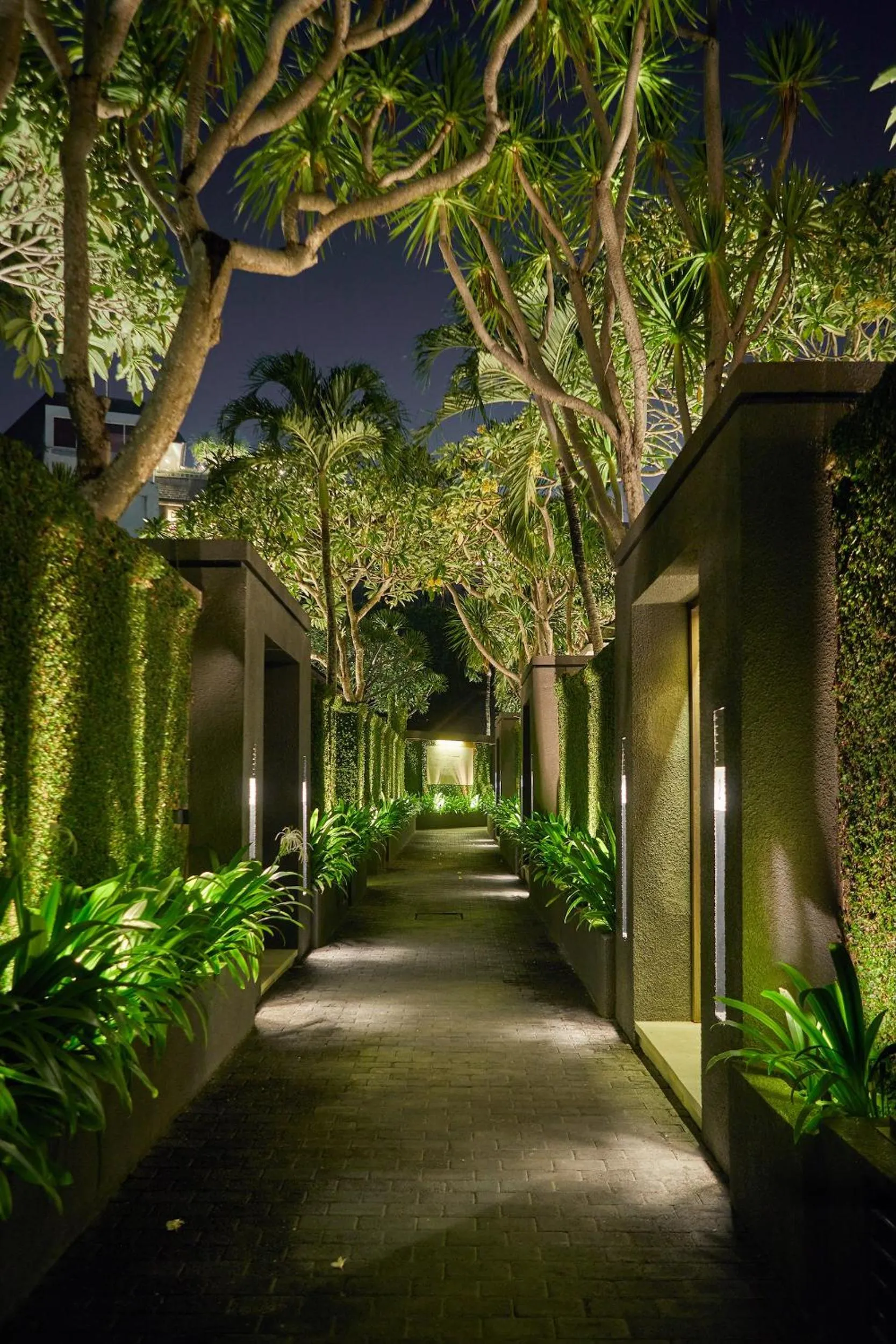 Property building in Ahimsa Beach