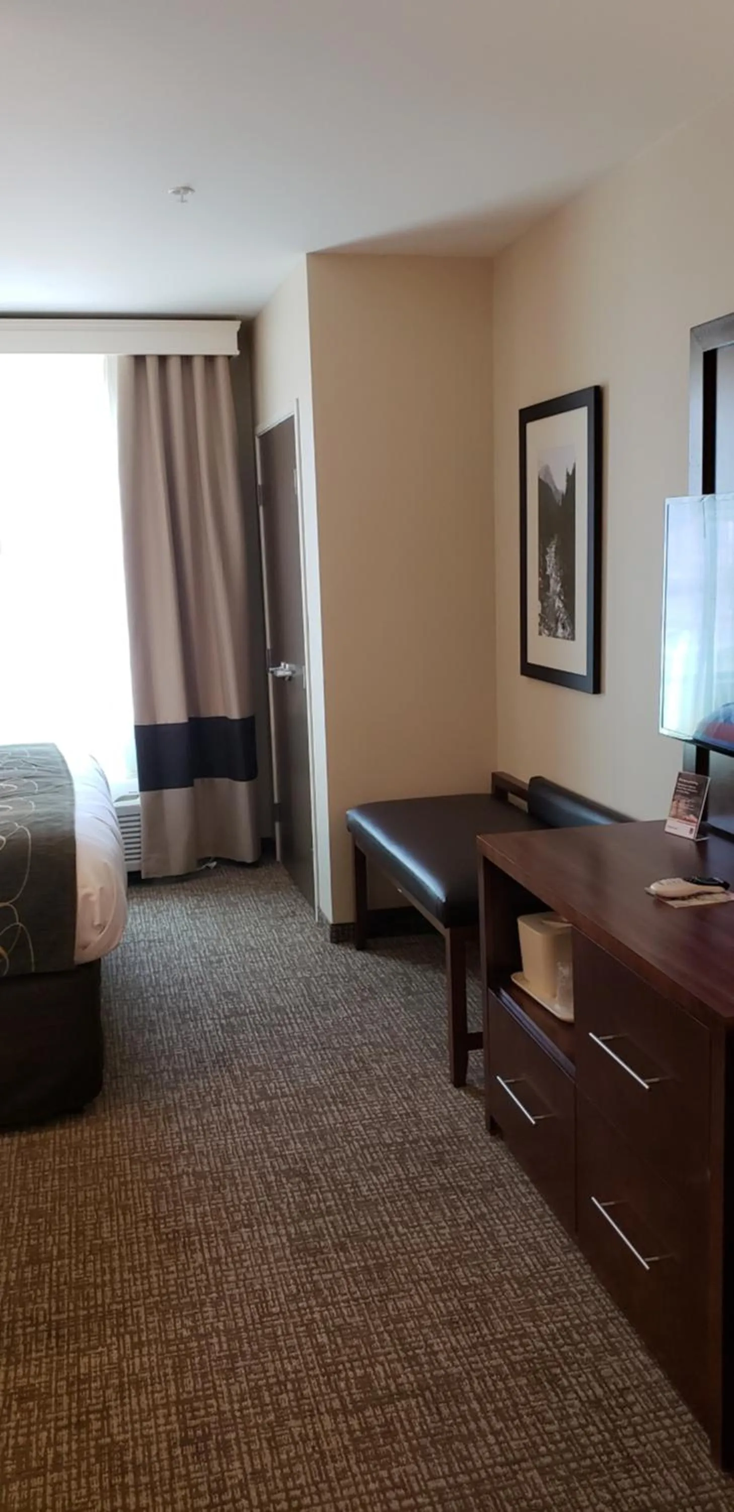 Photo of the whole room in Comfort Suites Denver near Anschutz Medical Campus