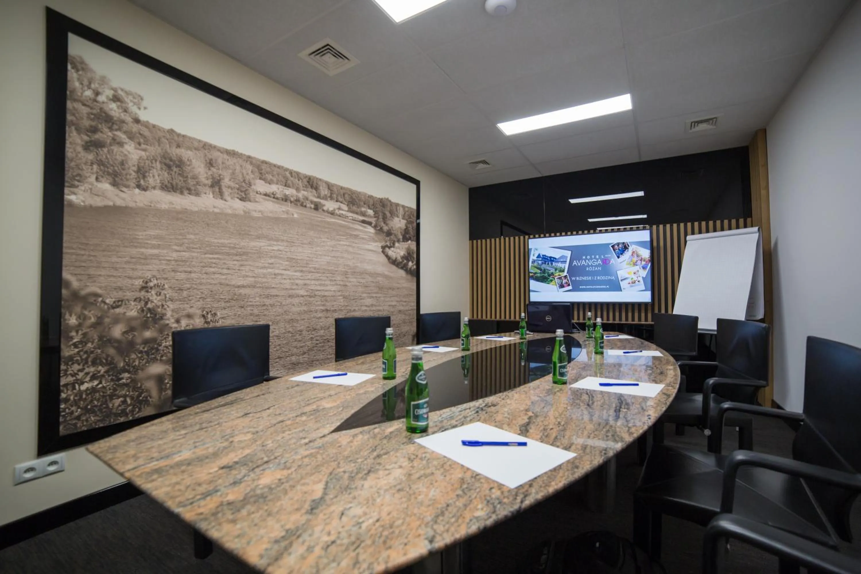 Meeting/conference room in Hotel Avangarda