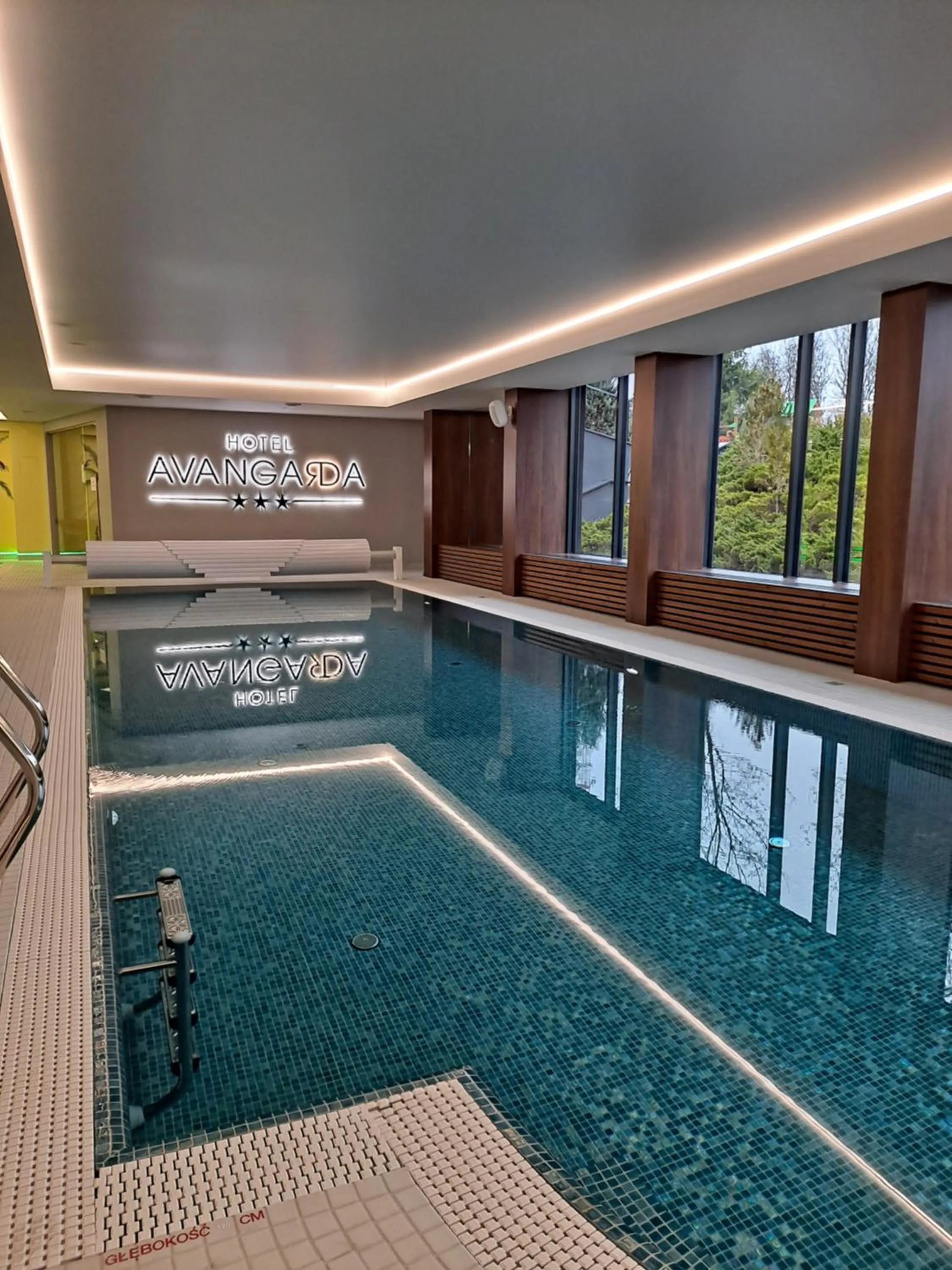 Pool view in Hotel Avangarda