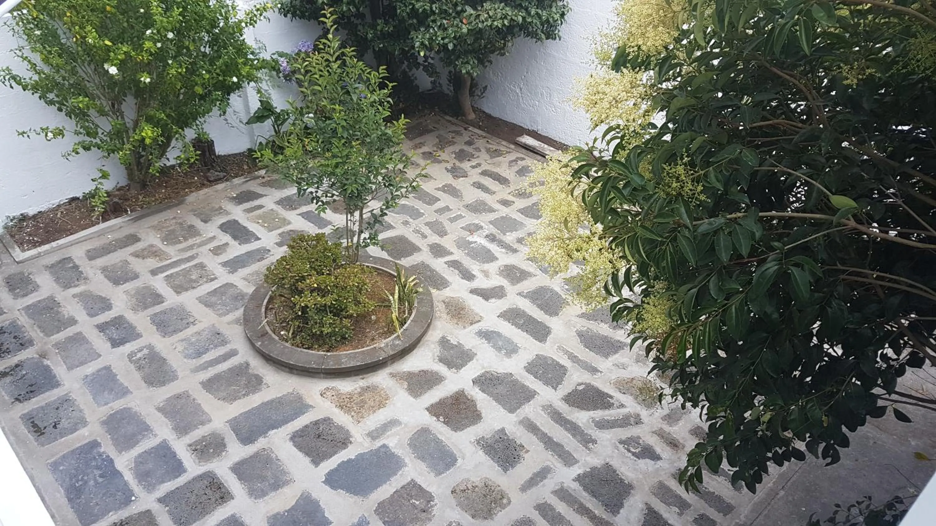 Patio in City's Hostel Ponta Delgada