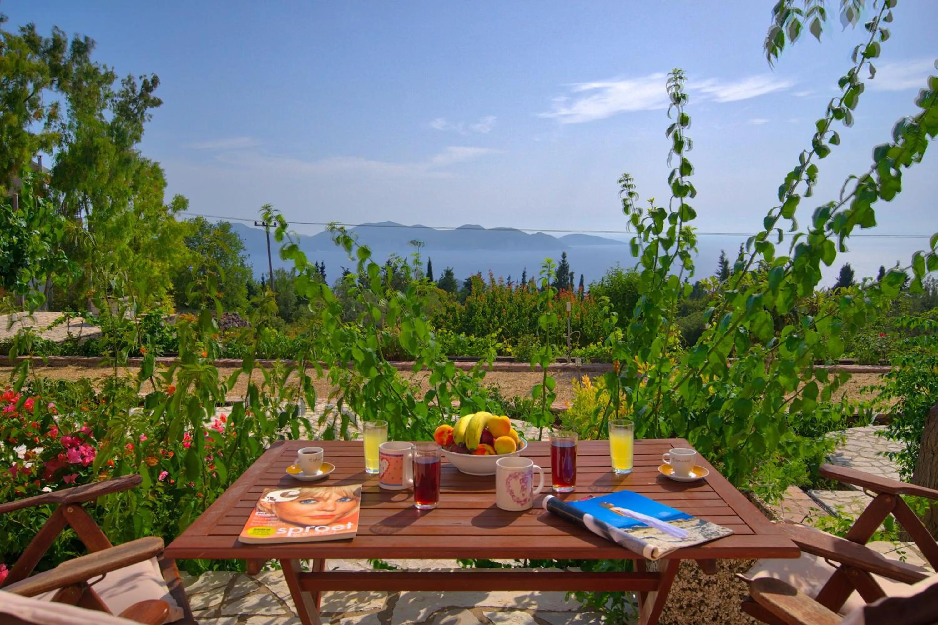 Garden in Panoramic Sunset
