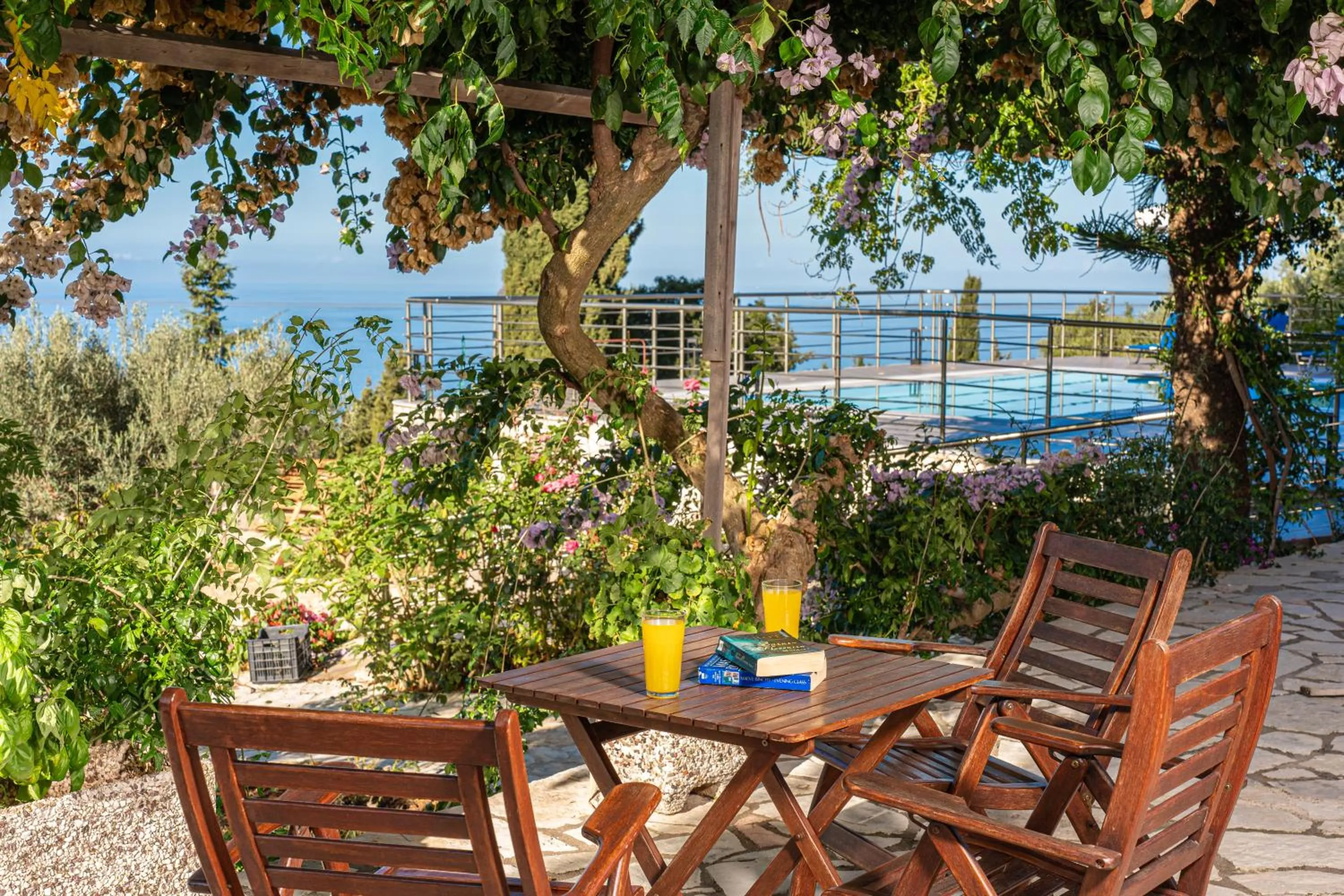 Garden in Panoramic Sunset