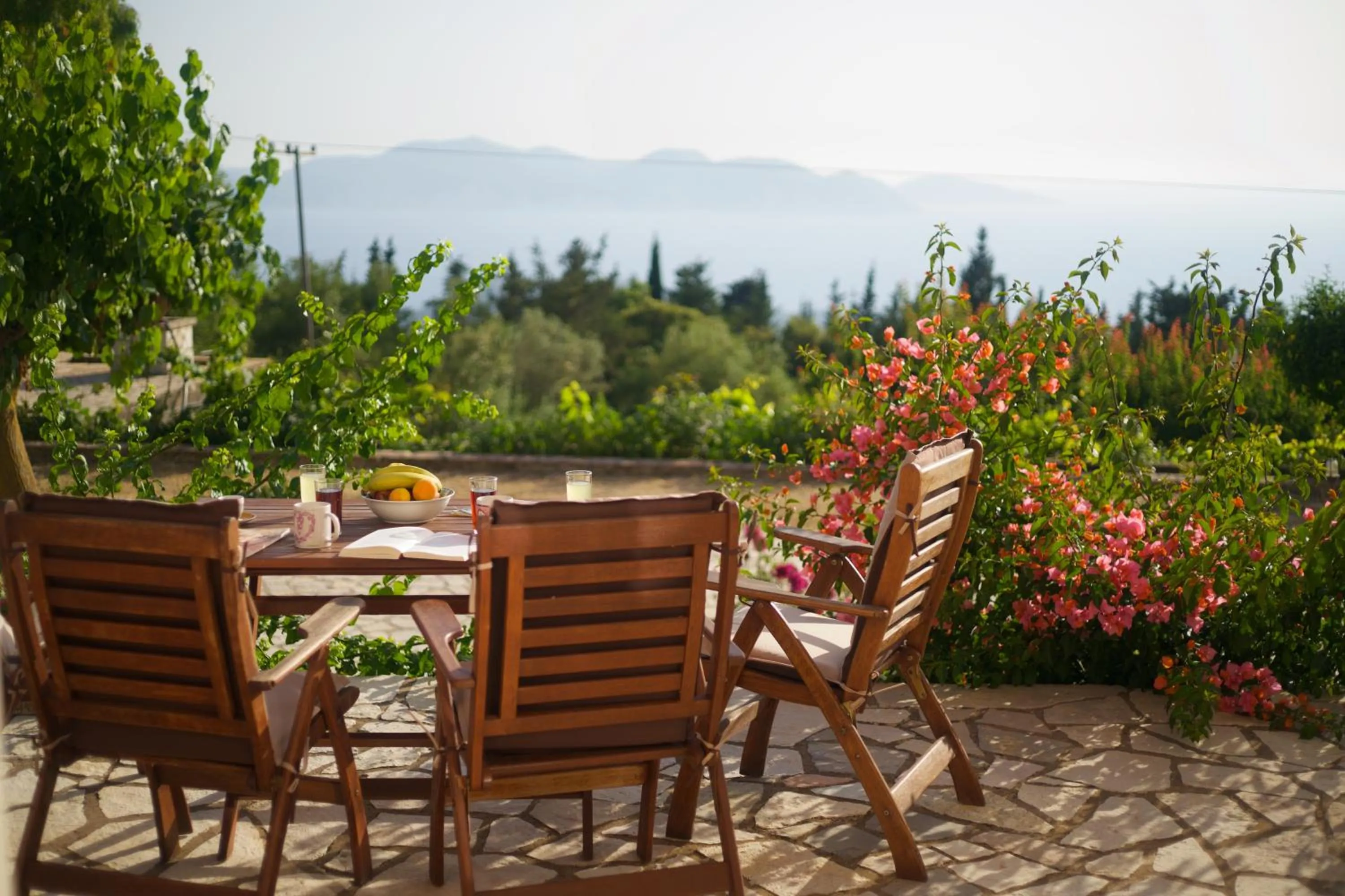 Garden in Panoramic Sunset