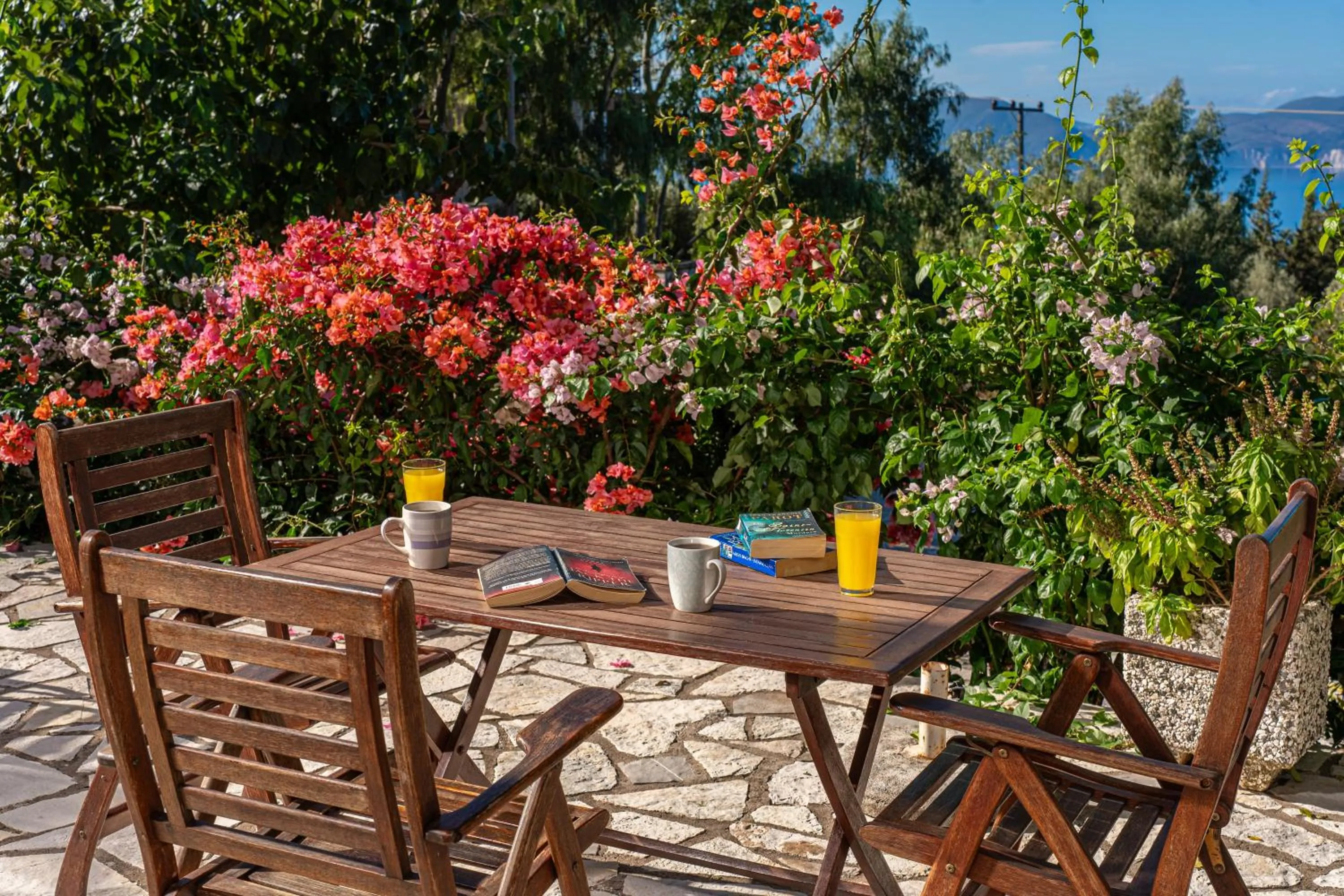 Garden in Panoramic Sunset