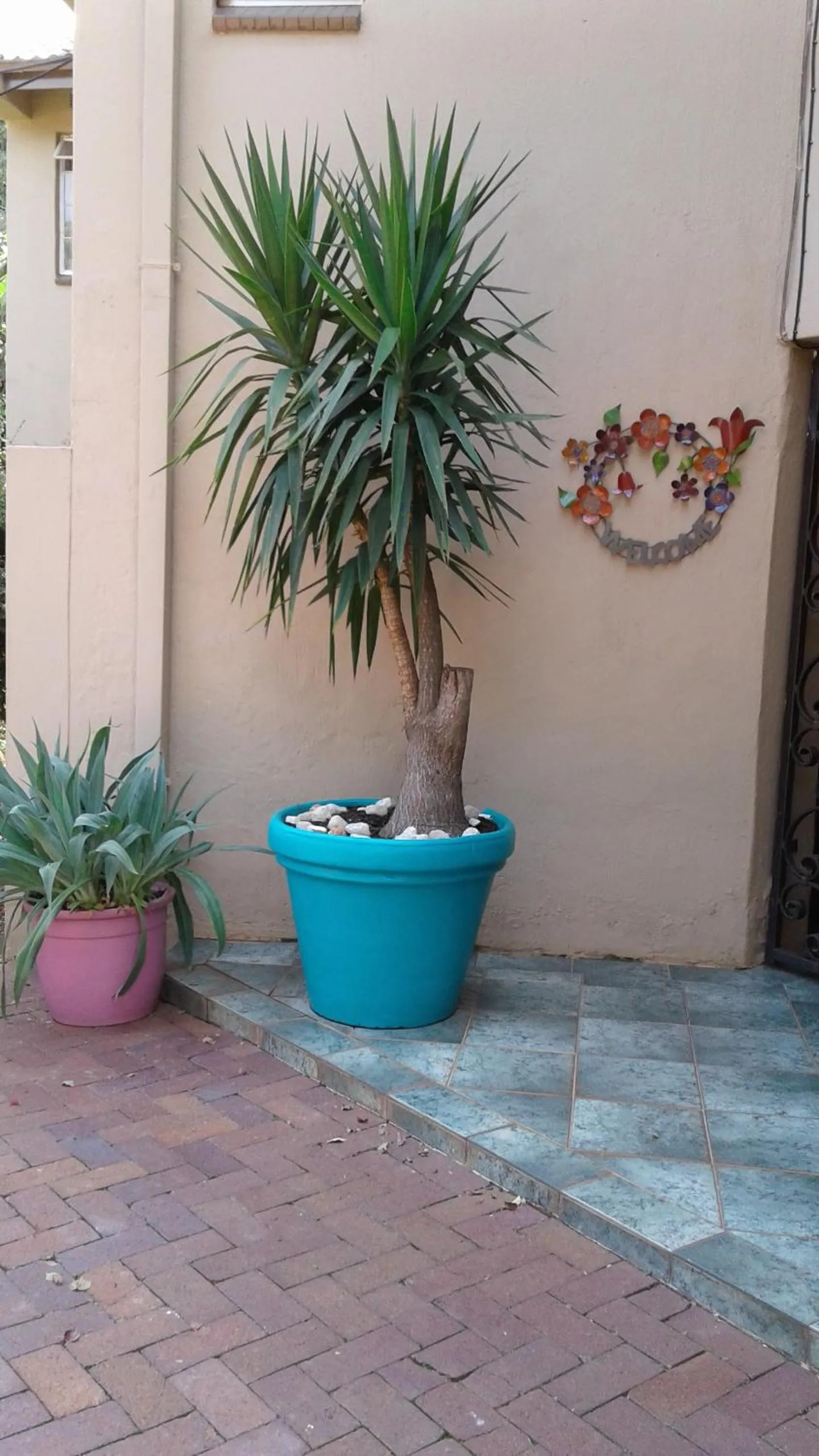 Lobby or reception in The Bedford View Guest House