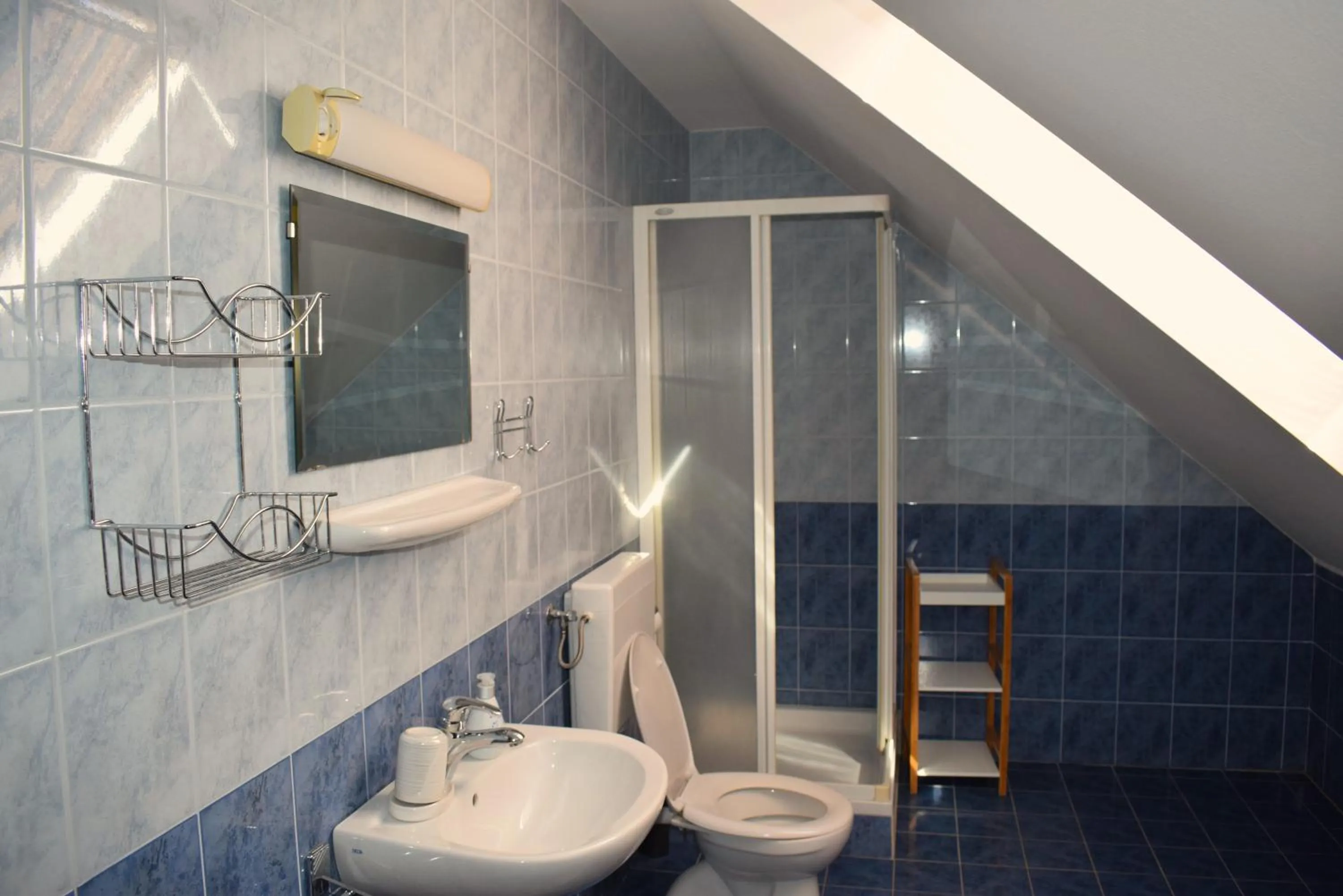 Shower in Farm Stay Zevnik