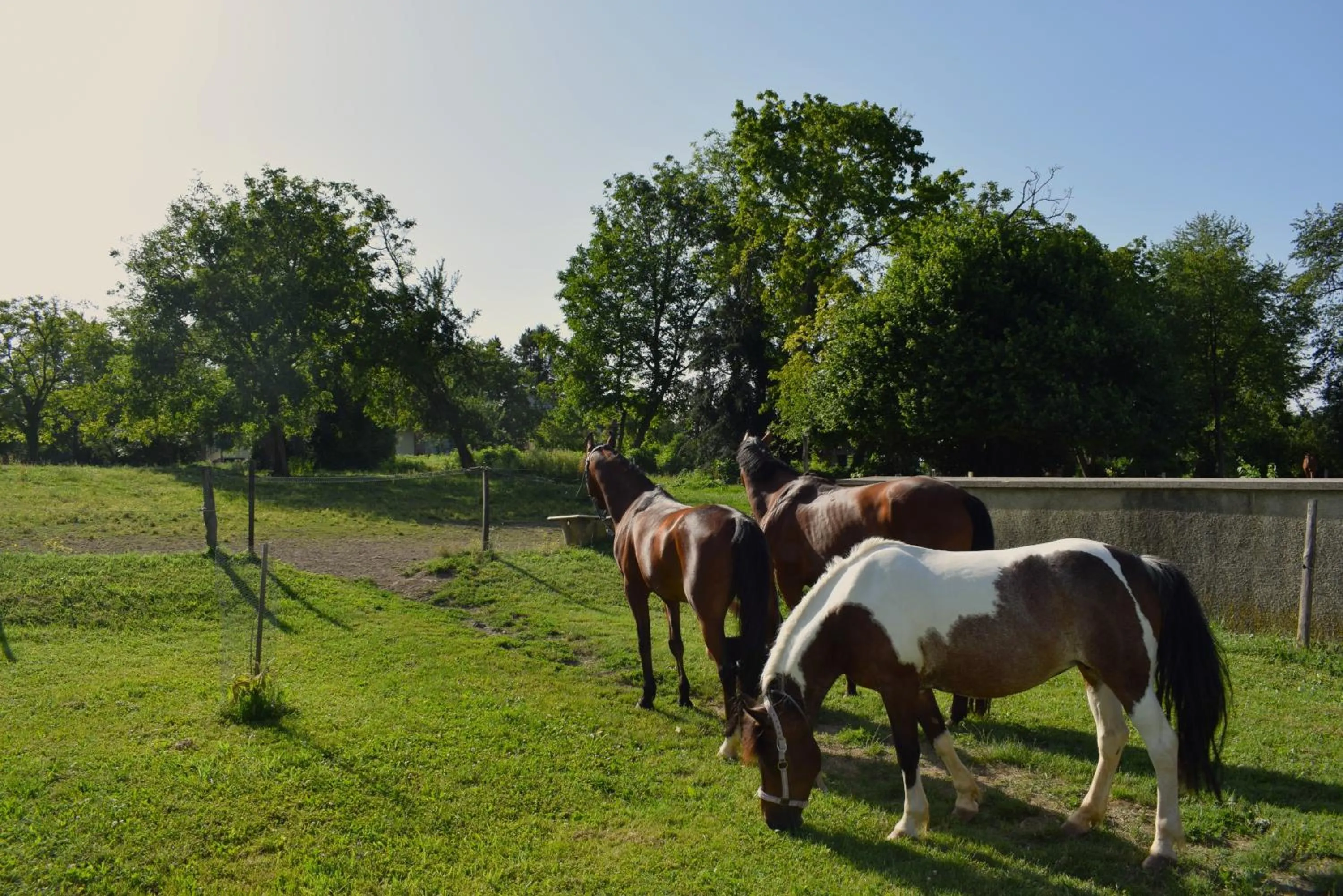 Day in Farm Stay Zevnik
