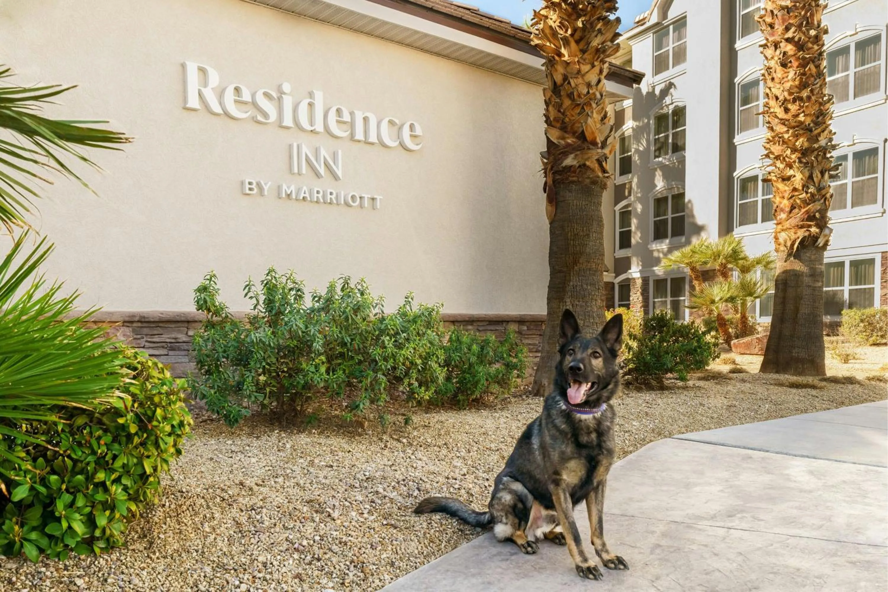 Other in Residence Inn By Marriott Las Vegas Stadium Area