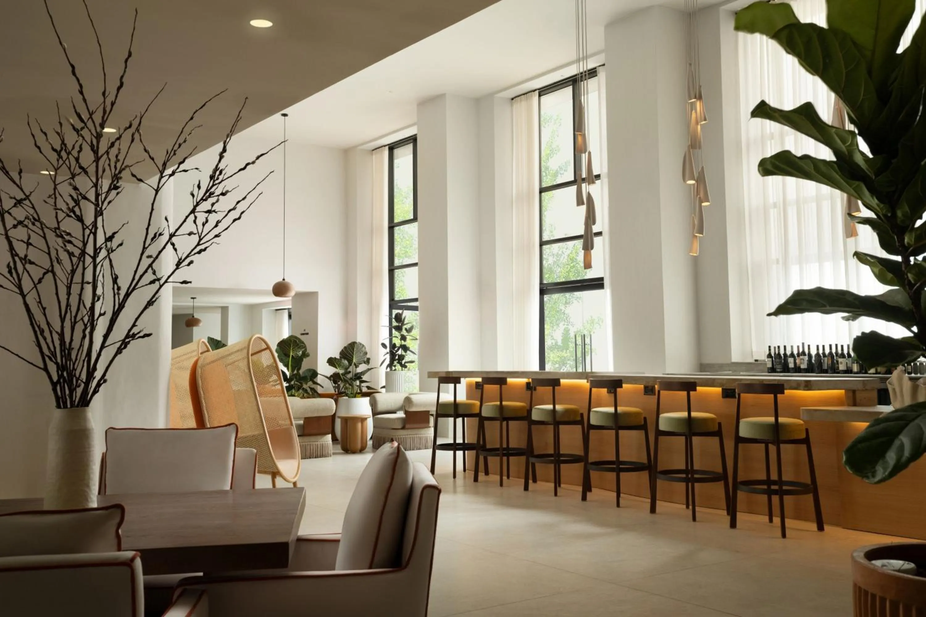 Lobby or reception in Sandbourne Santa Monica, Autograph Collection