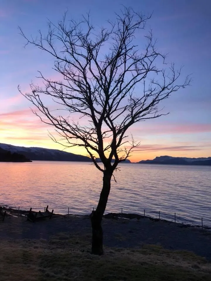 View (from property/room) in Brekkestranda Fjordhotel