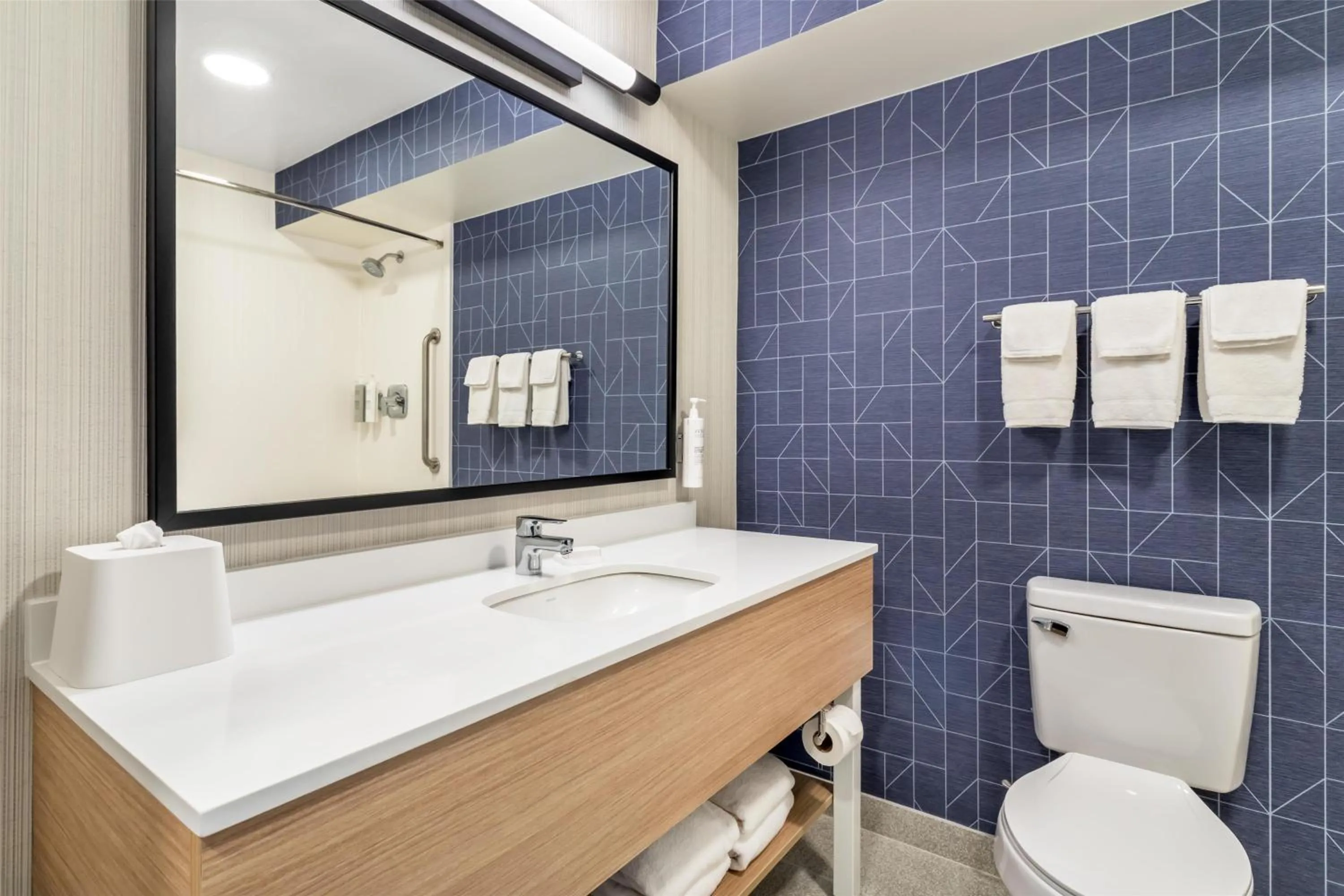 Bathroom in Spark by Hilton Knoxville North I-75