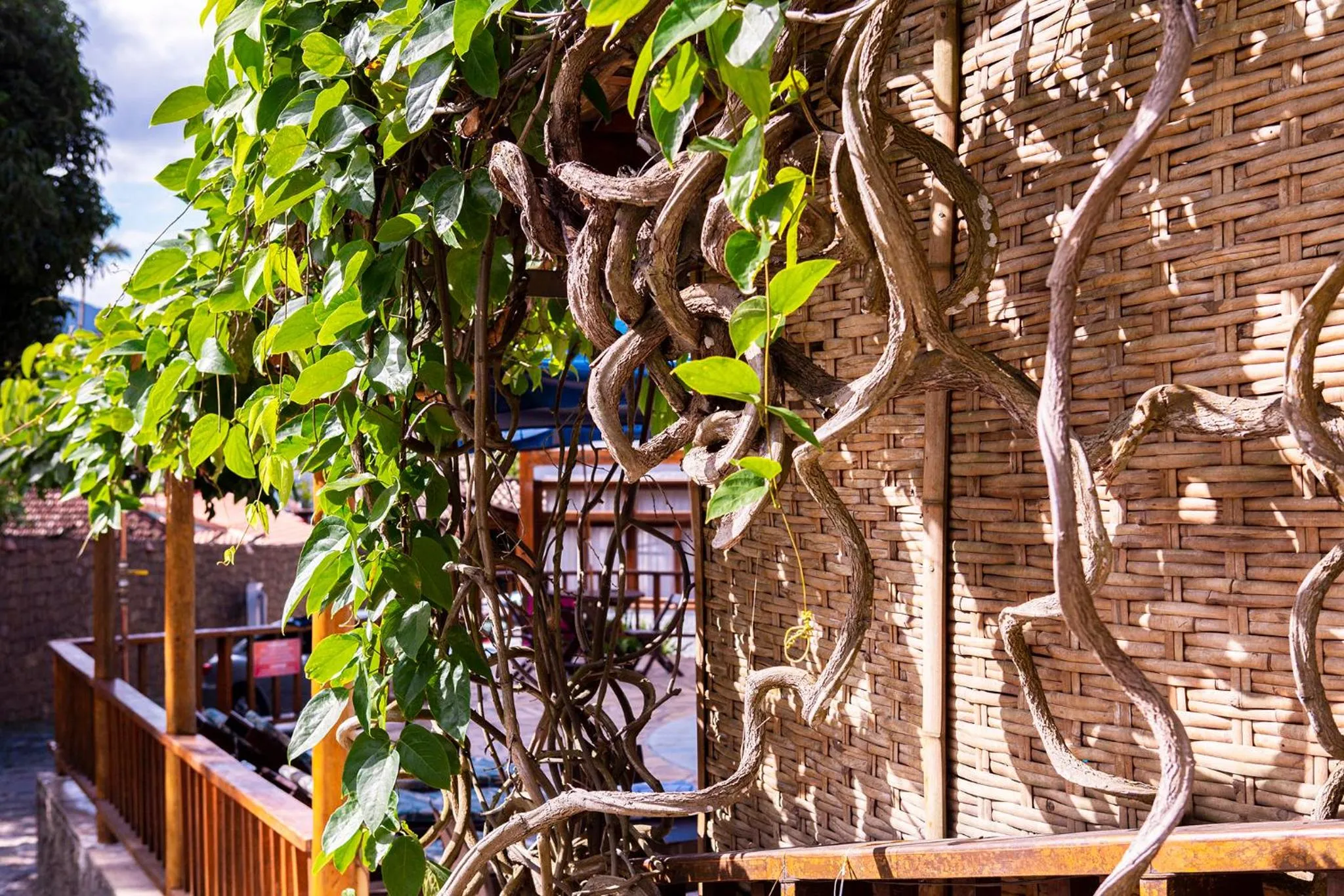 Garden view in Hotel Praia do Portinho