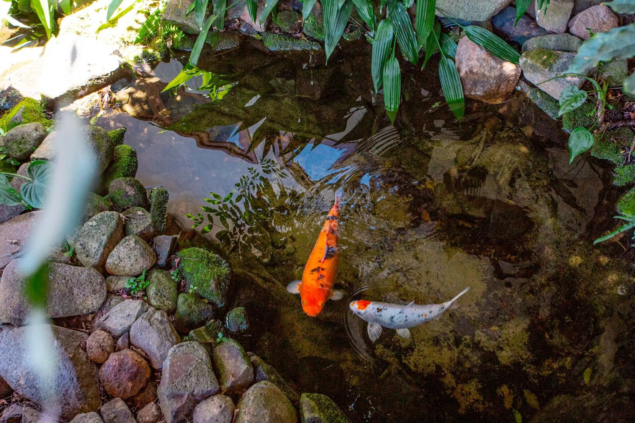 Garden in Hotel Praia do Portinho