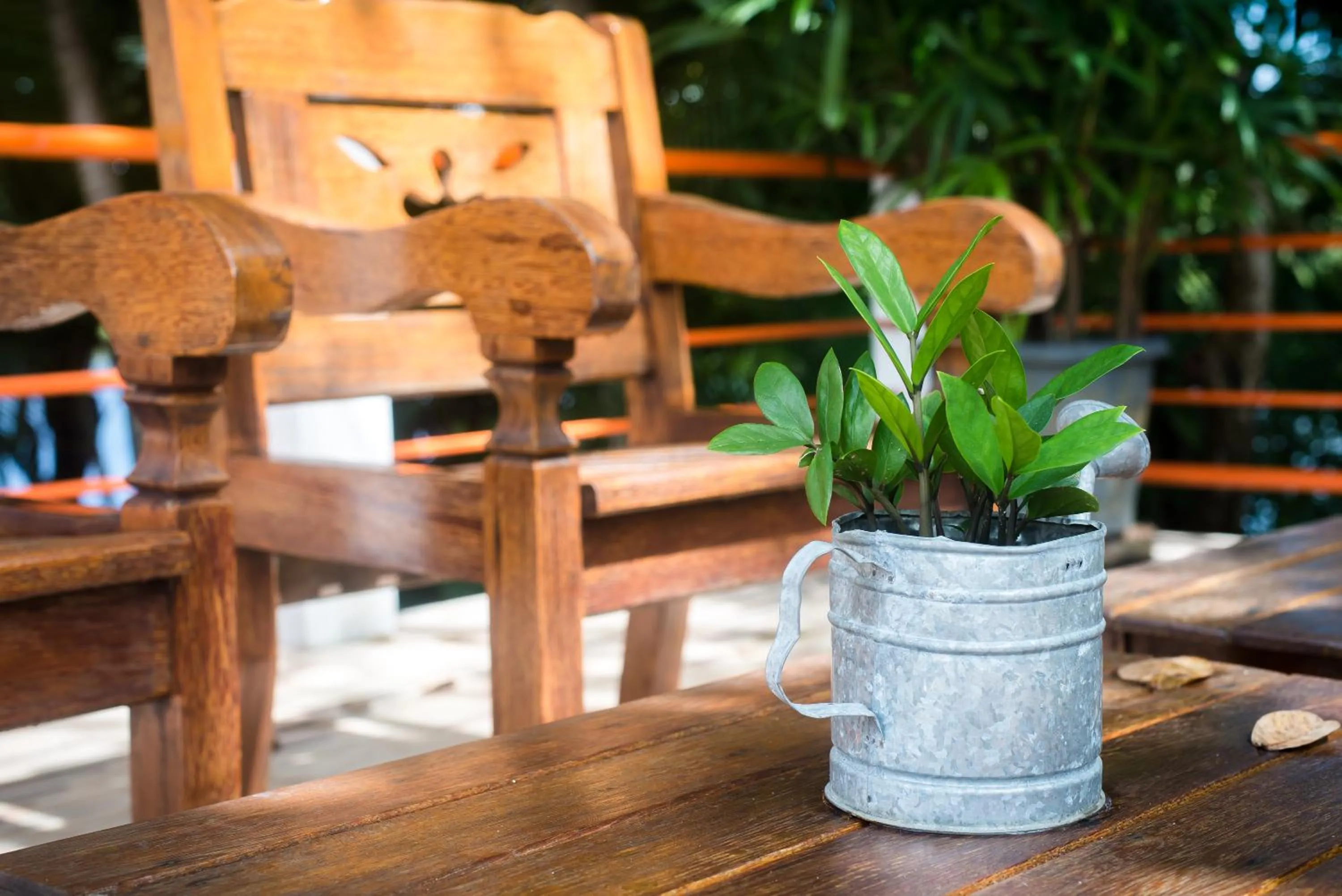 Garden in Pousada Clube Vista do Rio