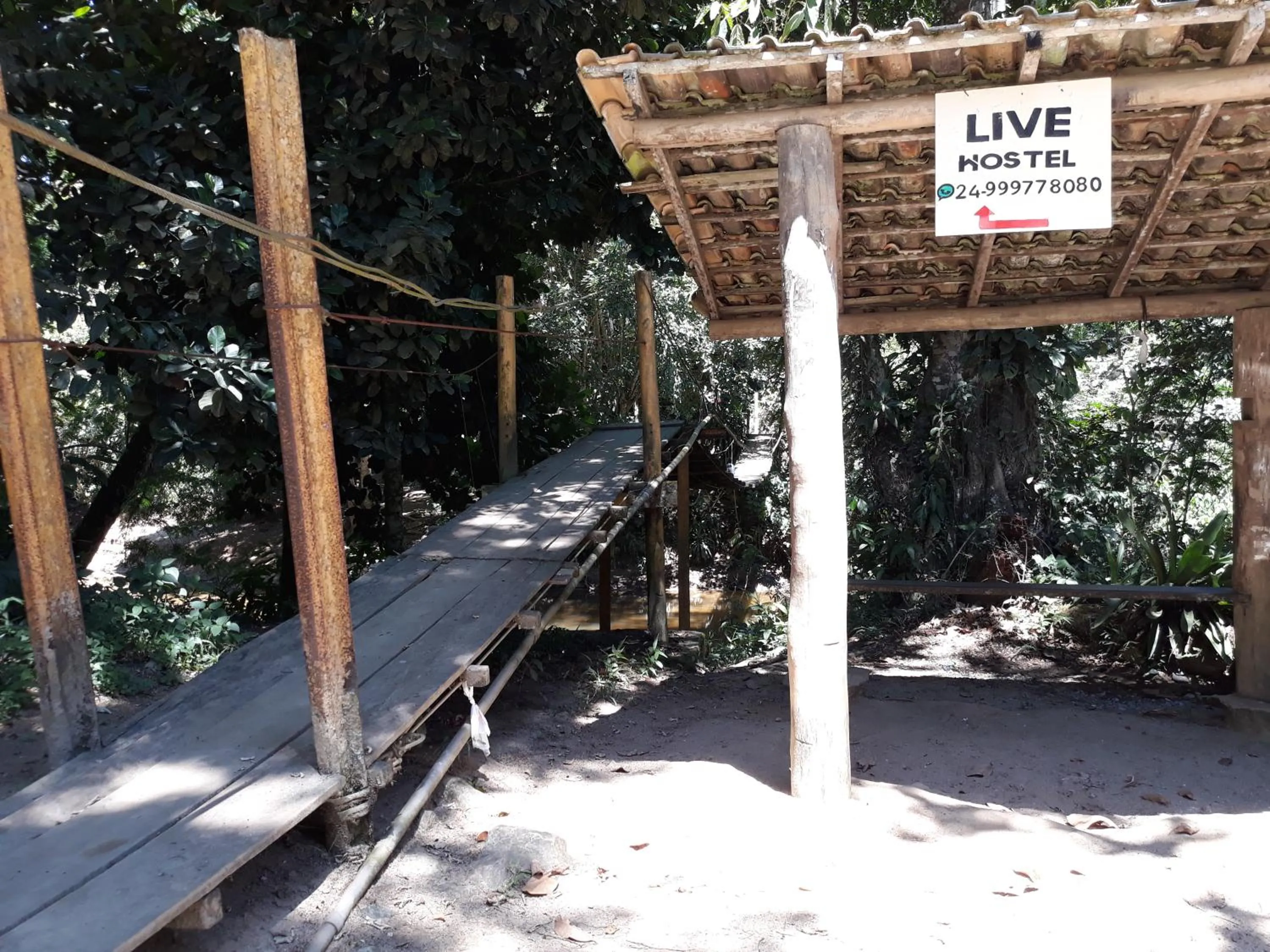Live Hostel