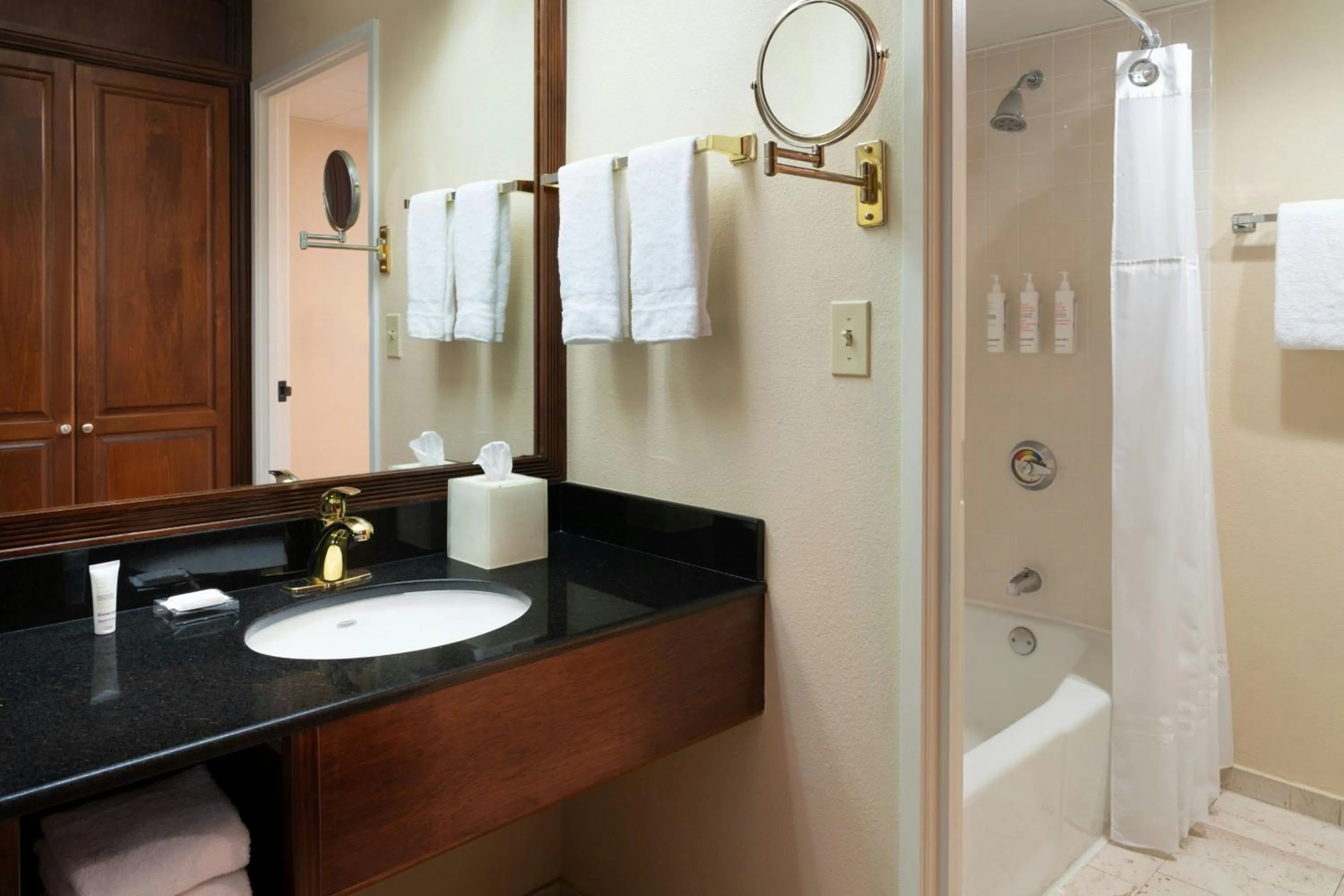 Bathroom in Miami Marriott Dadeland