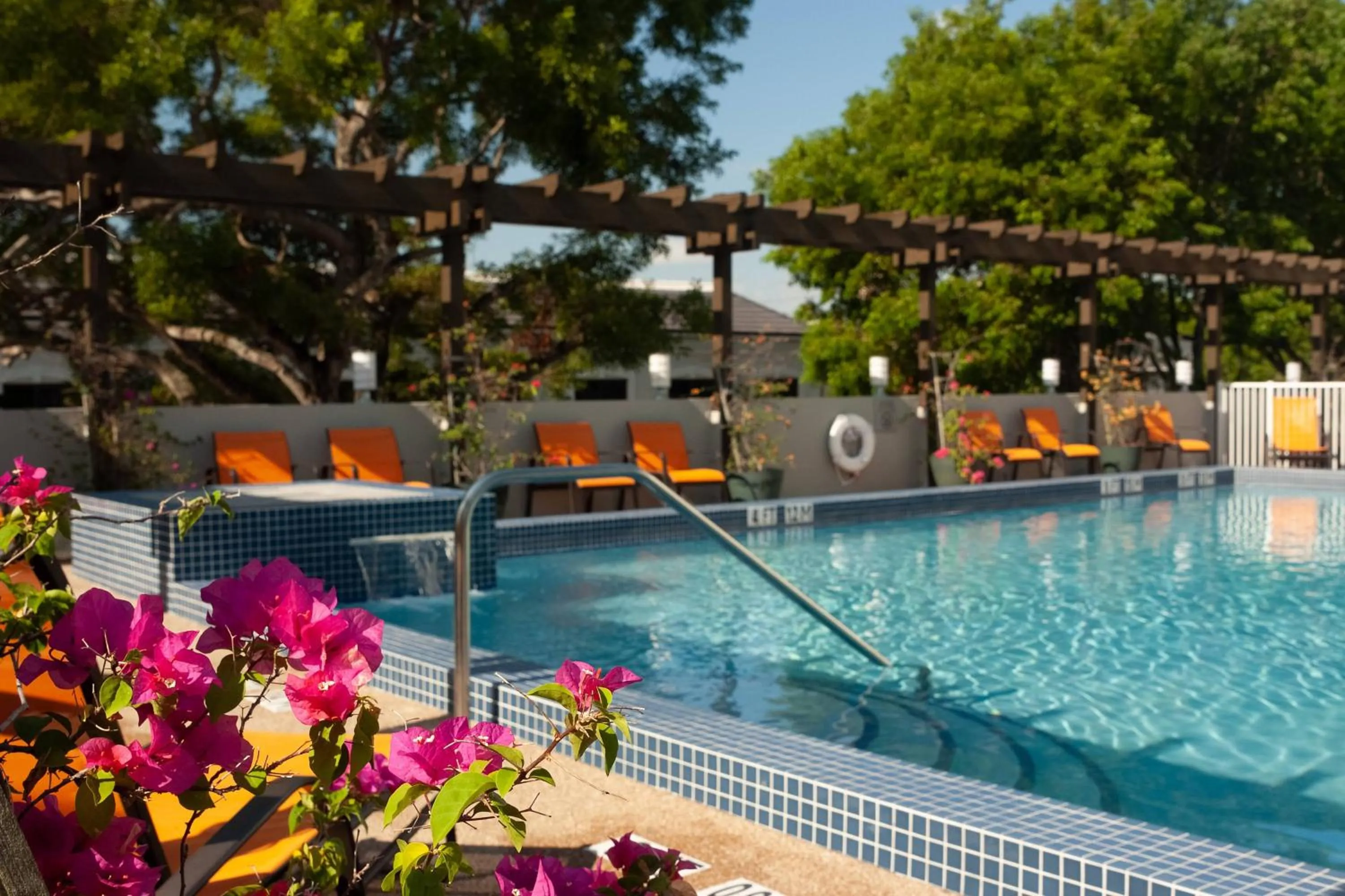 Swimming pool in Courtyard Miami Coral Gables