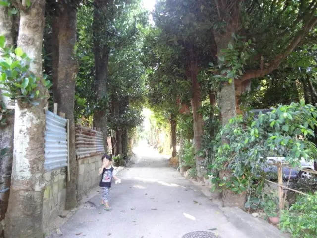 Neighbourhood in Bise House