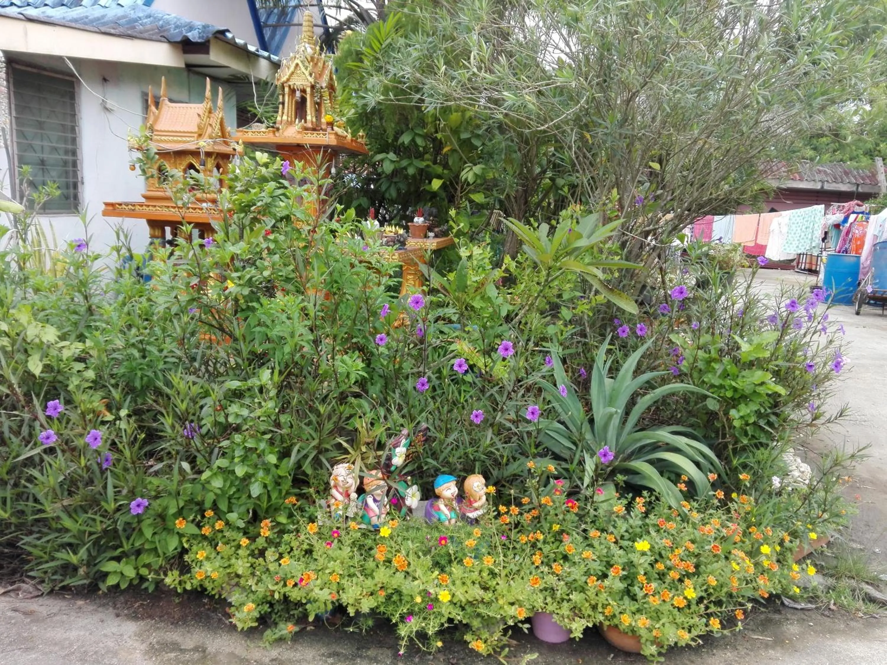 Garden in Kanjana Resort