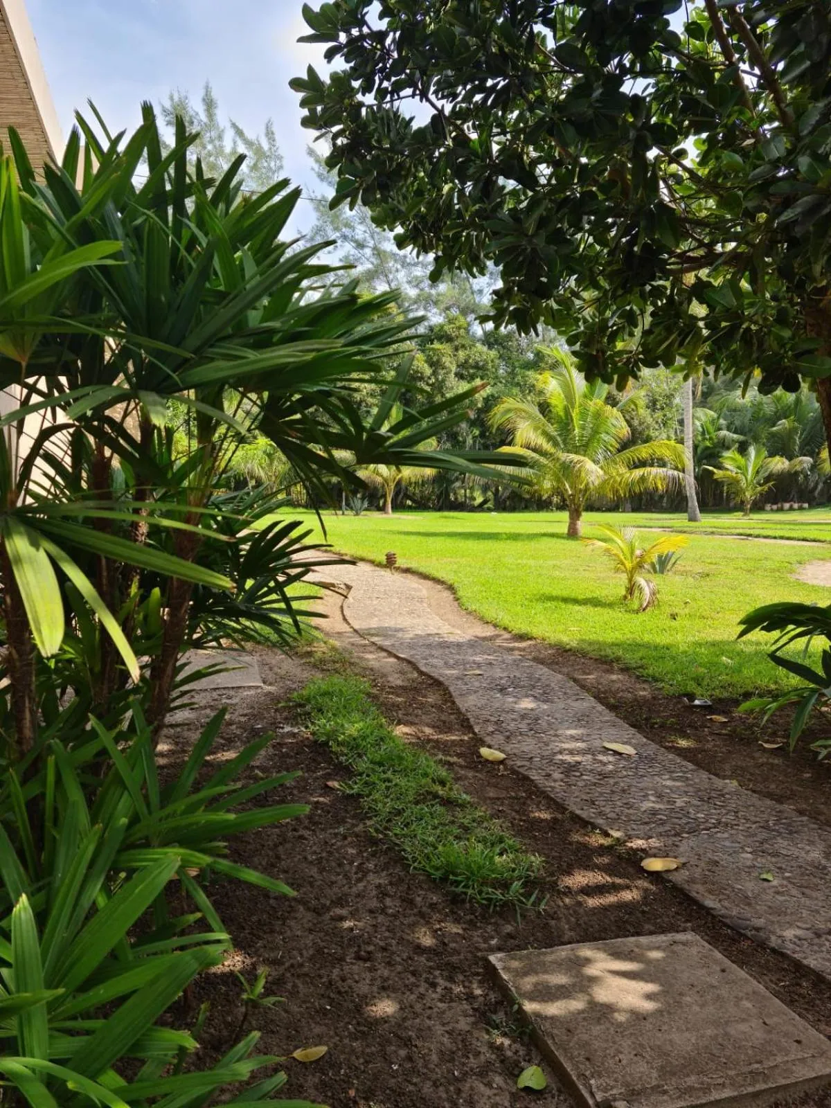 Garden view in Isla Tajín