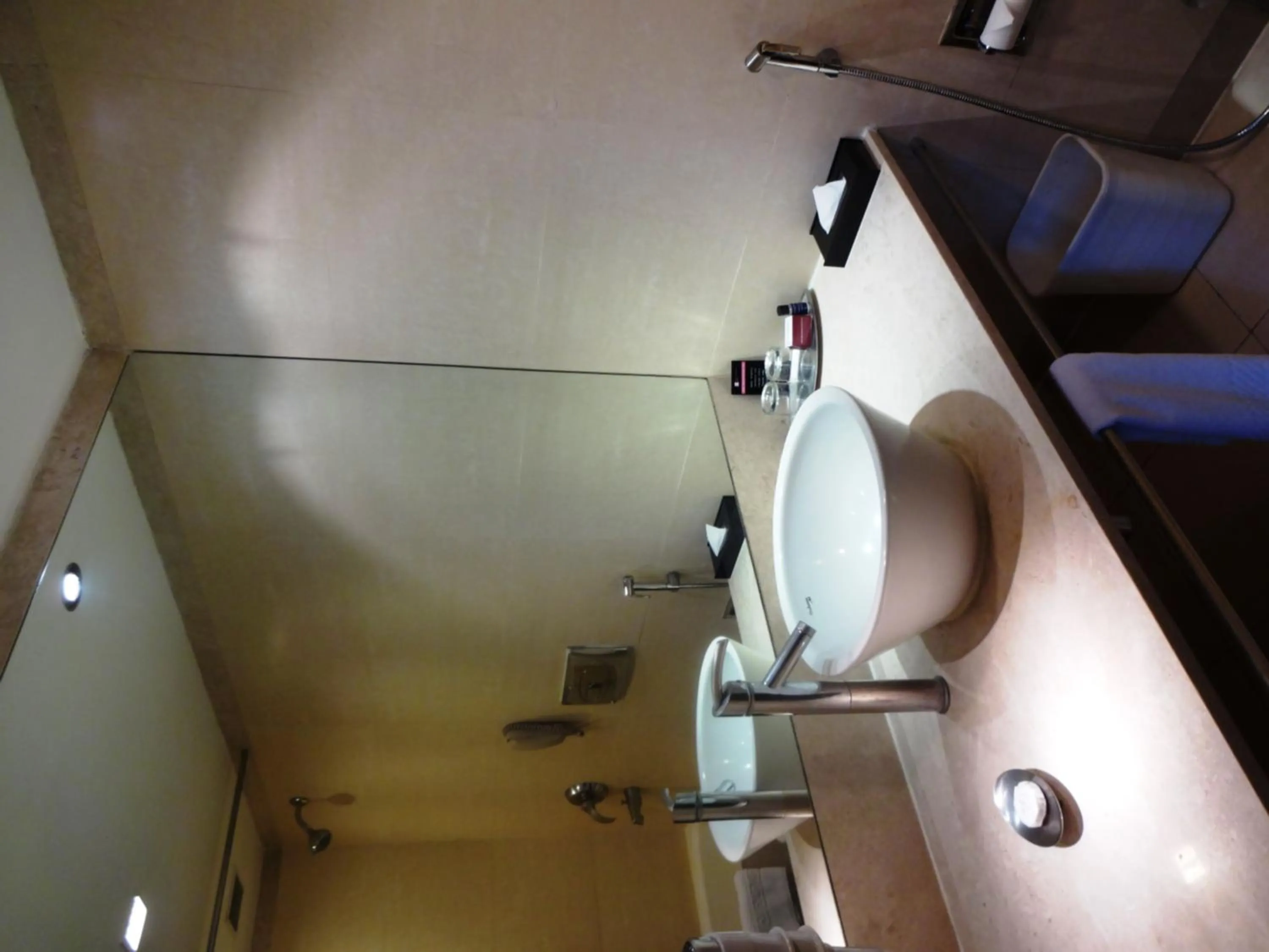 Toilet in Royal Orchid Central Bangalore, MG Road