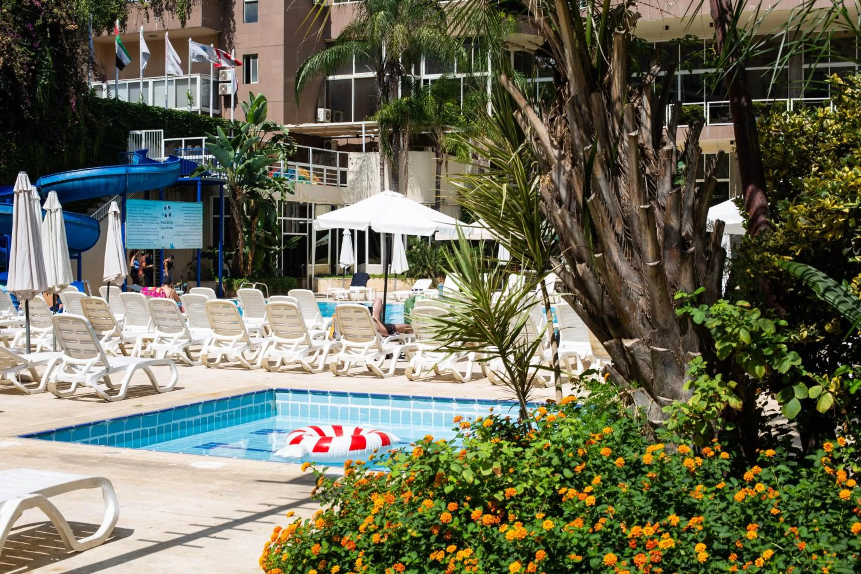 Garden in Cosmopolitan Hotel