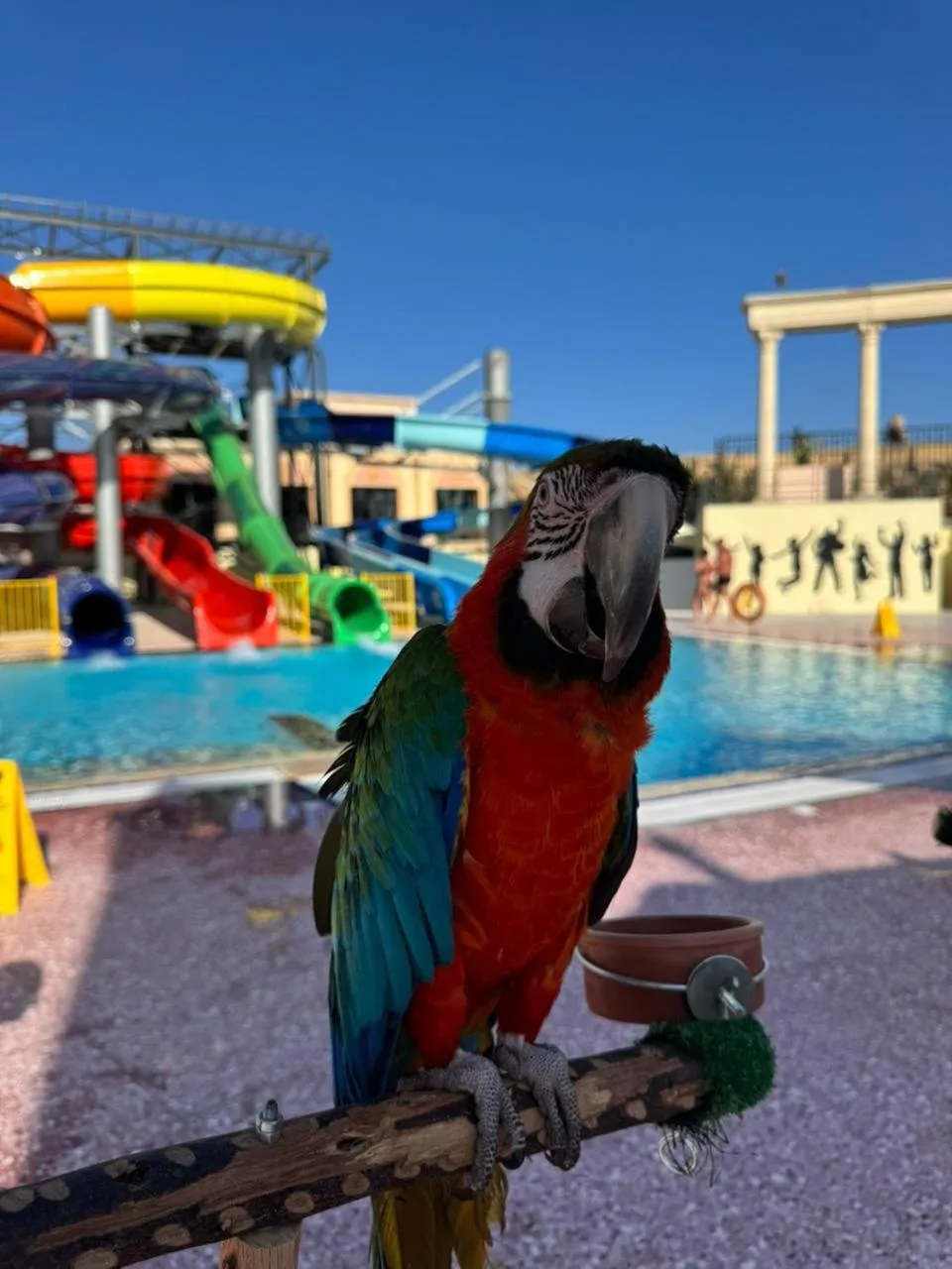 Aqua park in Il Mercato Hotel & Spa