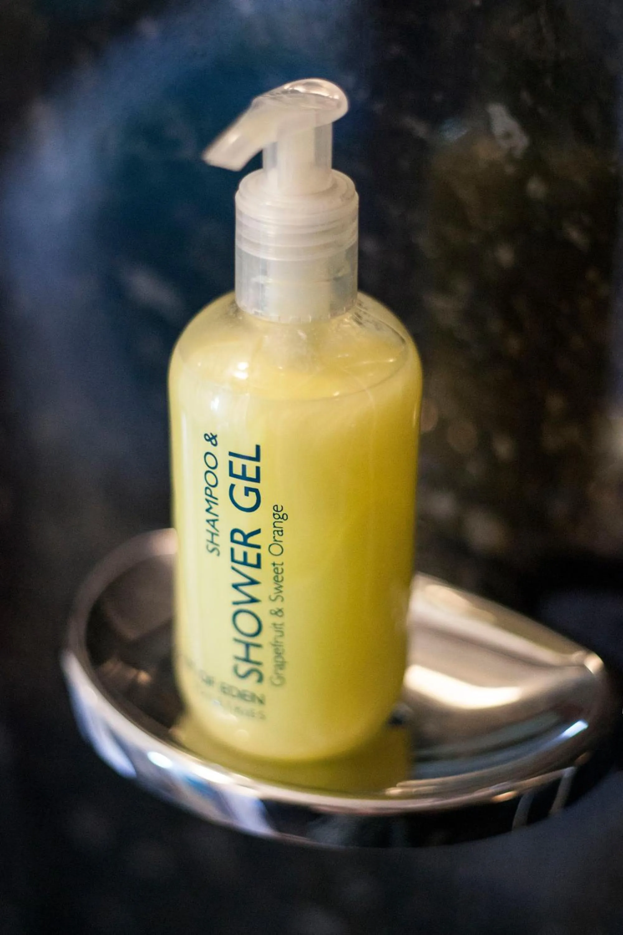 Shower in The Bridge Inn