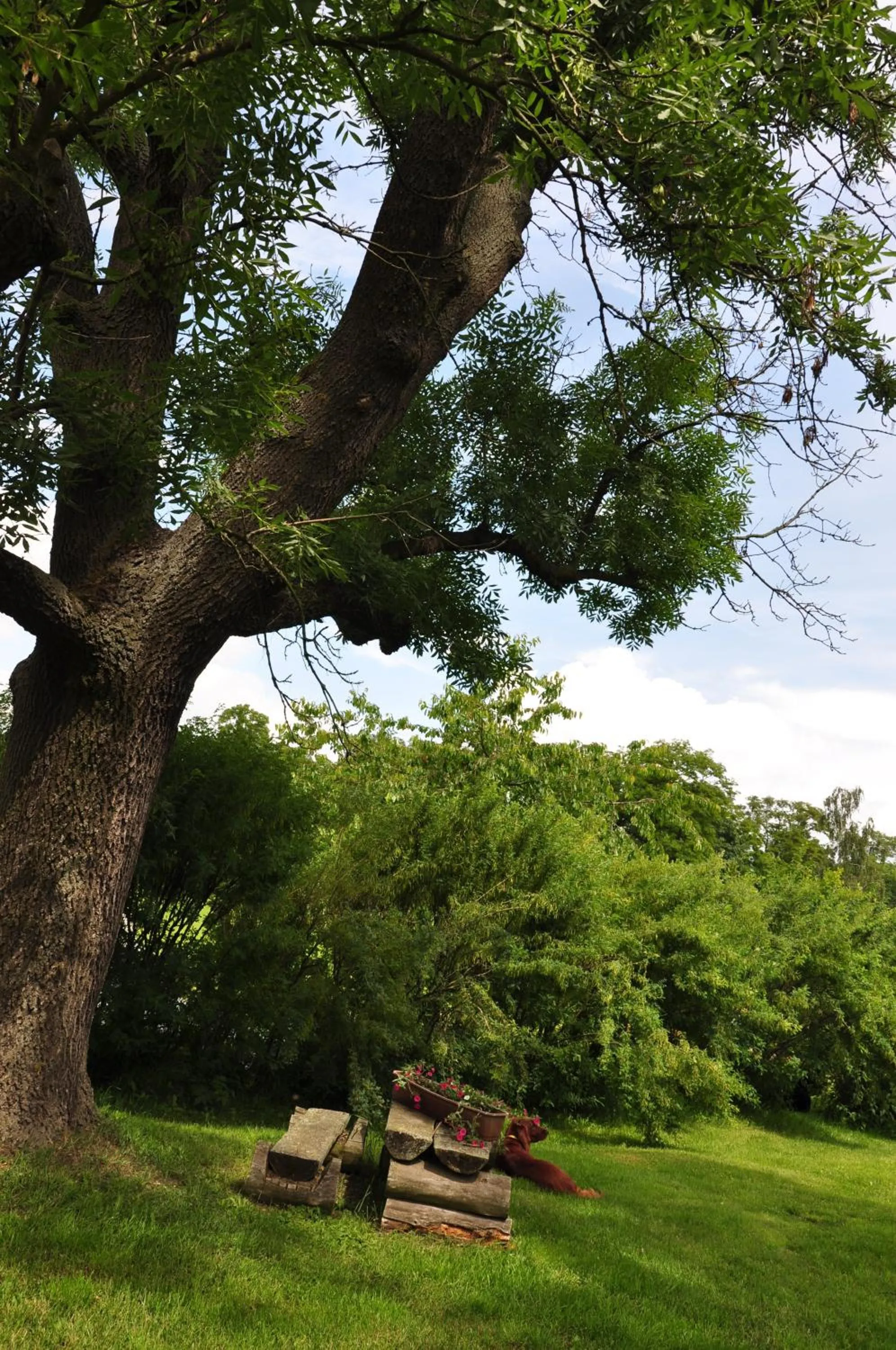 Day in Restauracja - Hotel Pałacowa