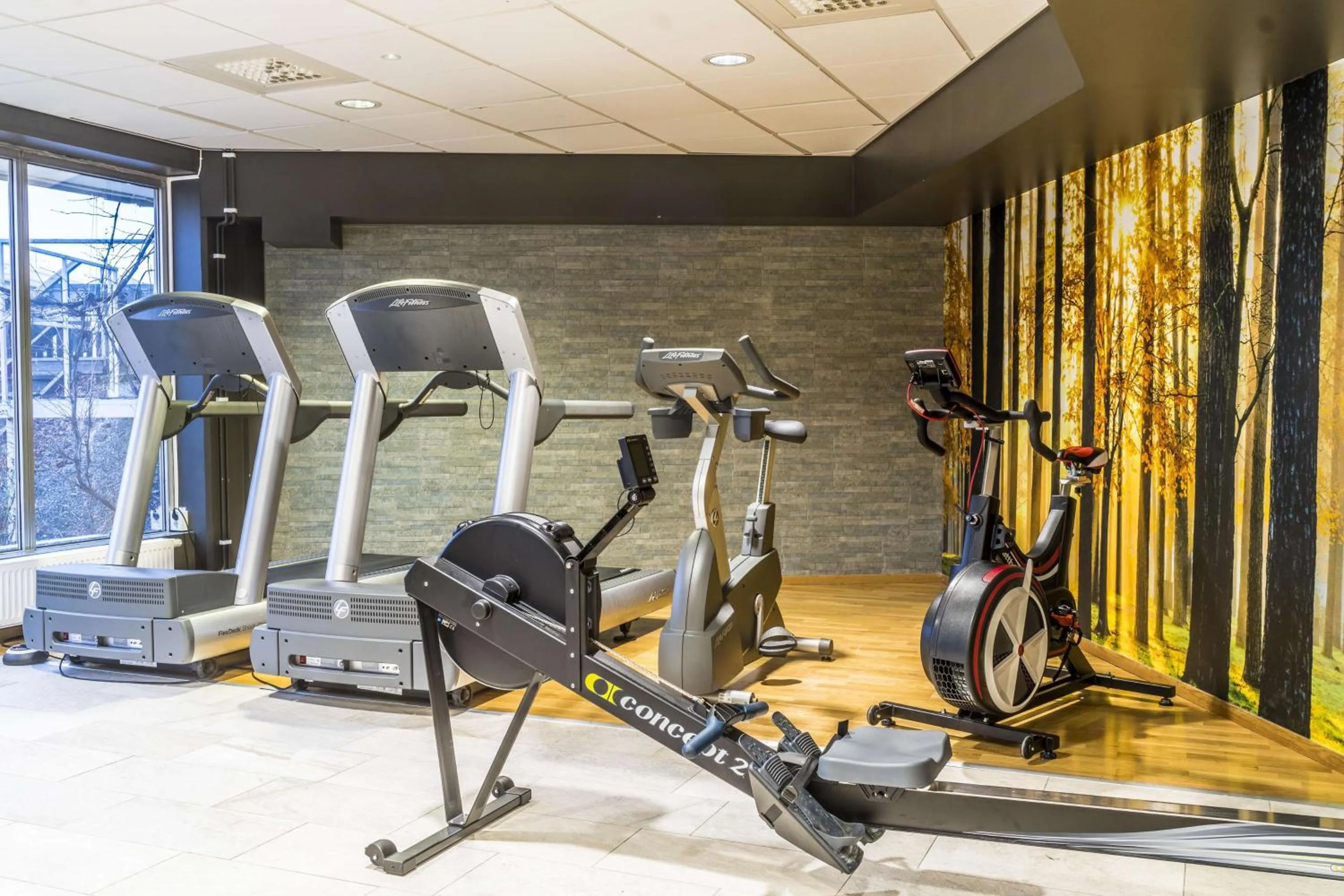 Spa and wellness centre/facilities in Scandic Elmia