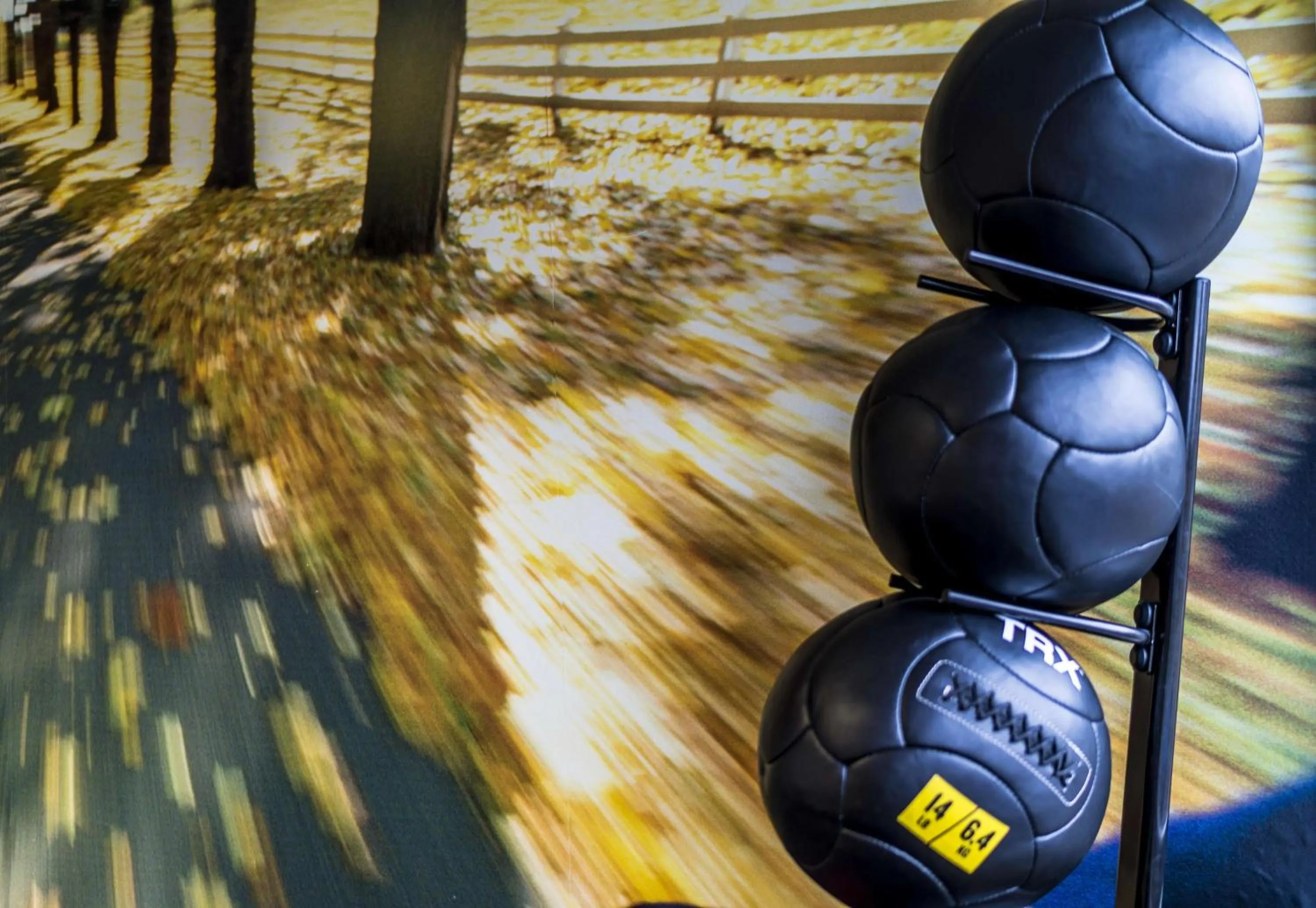 Spa and wellness centre/facilities in Scandic Elmia