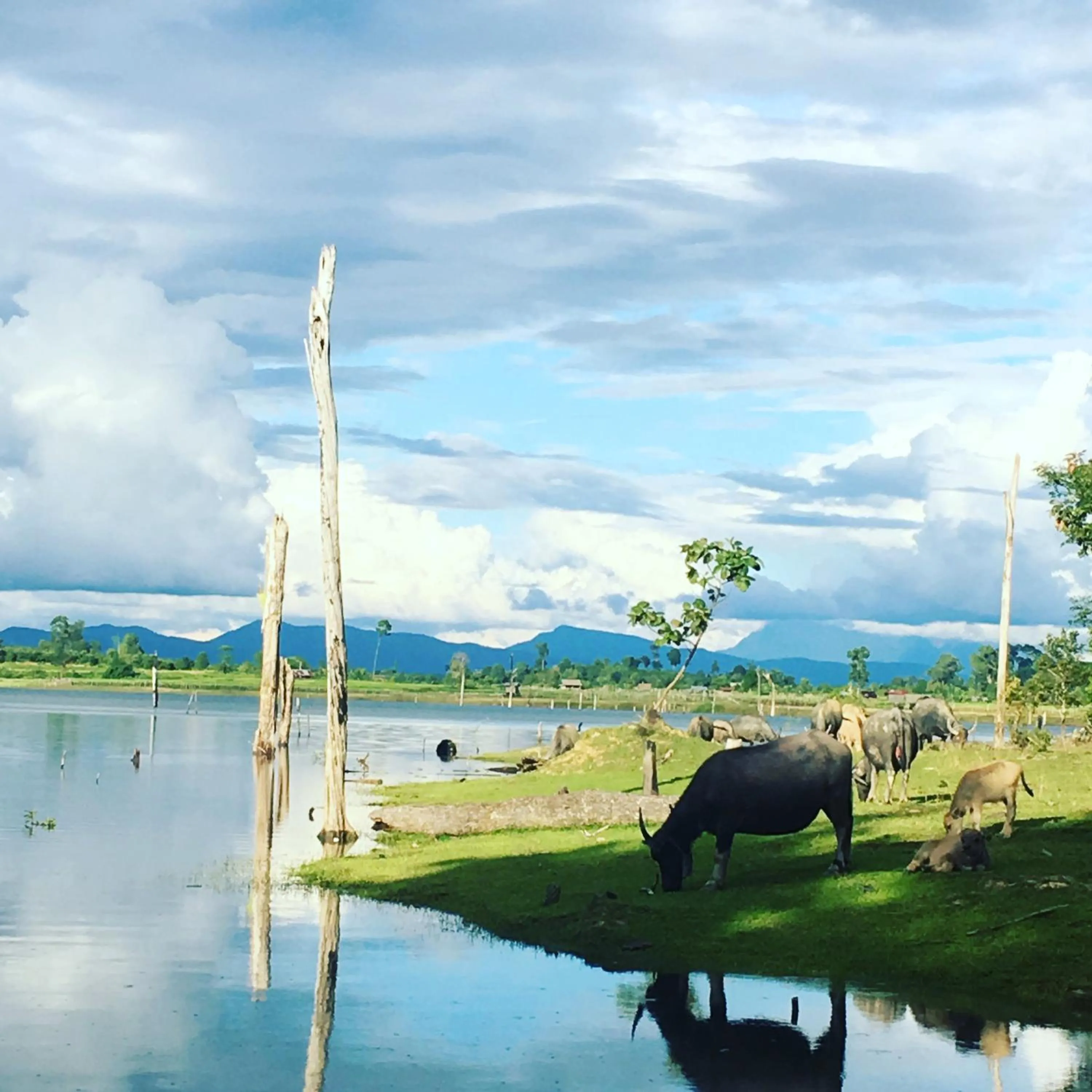Nearby landmark in Nakai Resort
