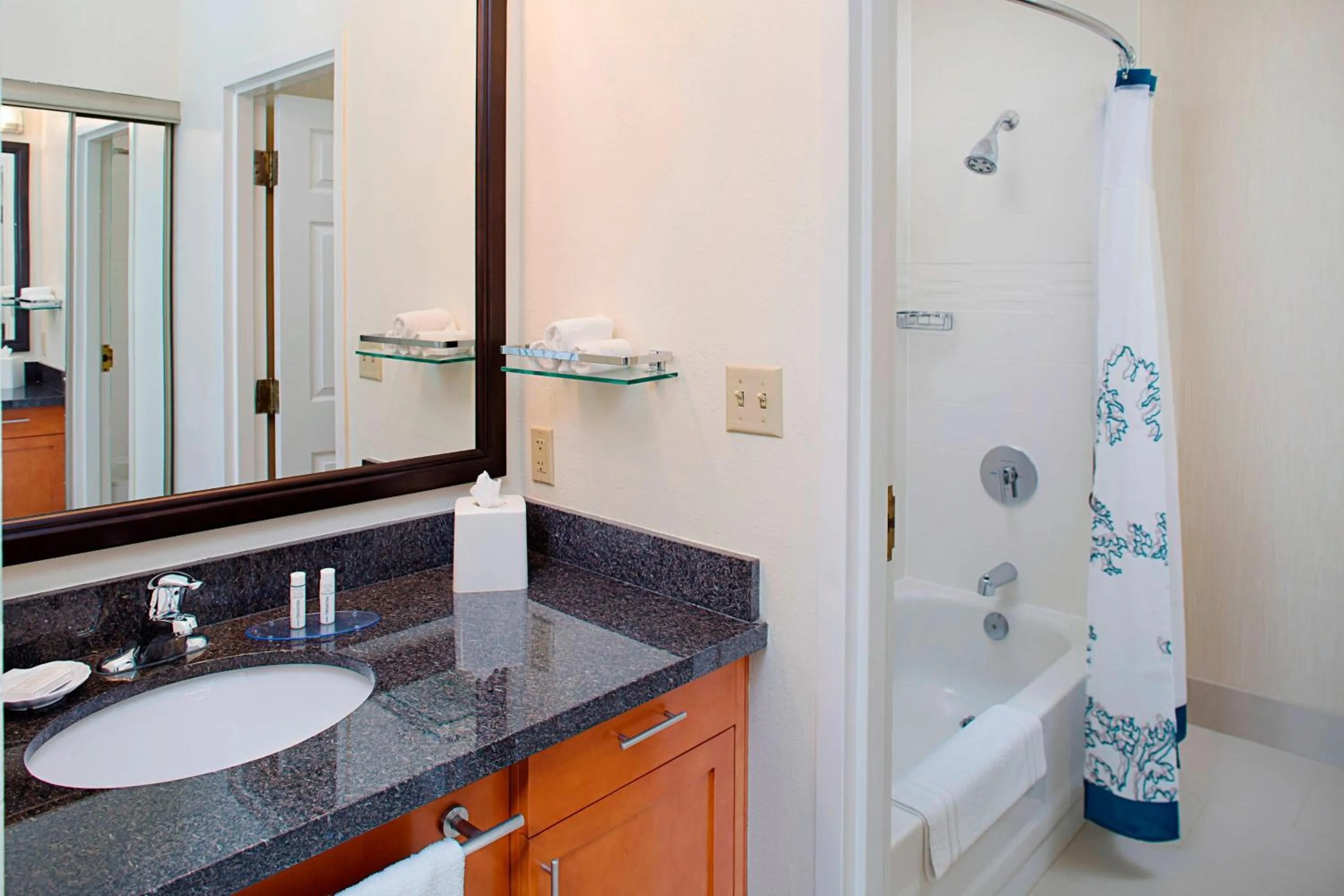 Bathroom in Residence Inn Atlanta Downtown